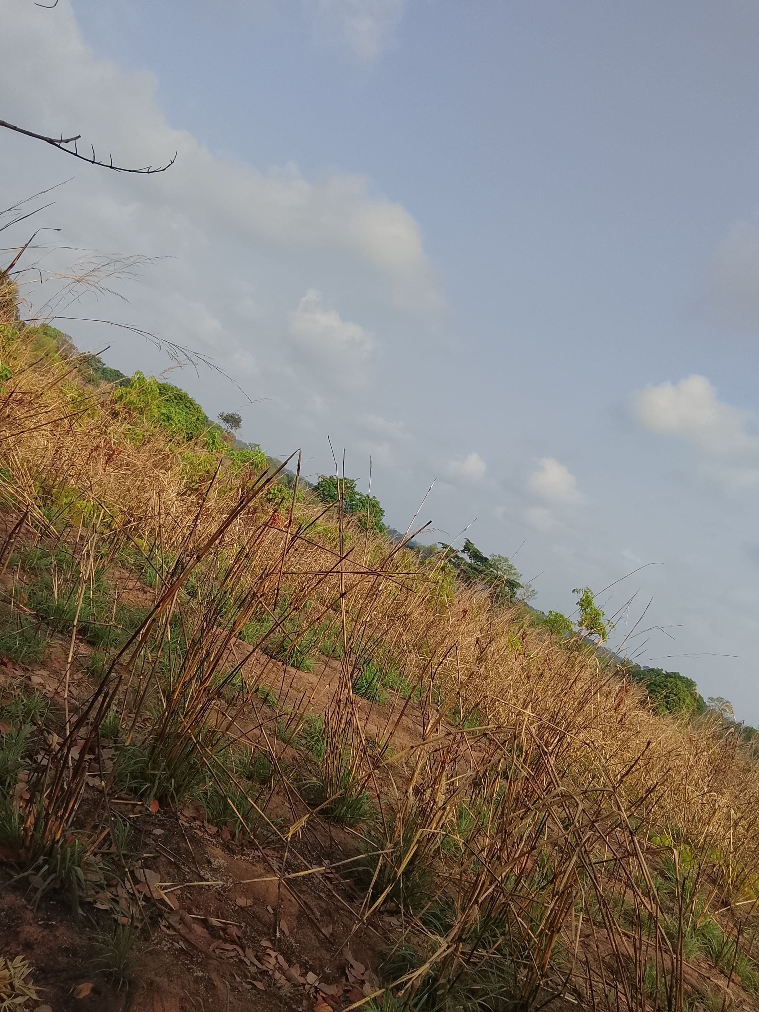 My Love for Photography!