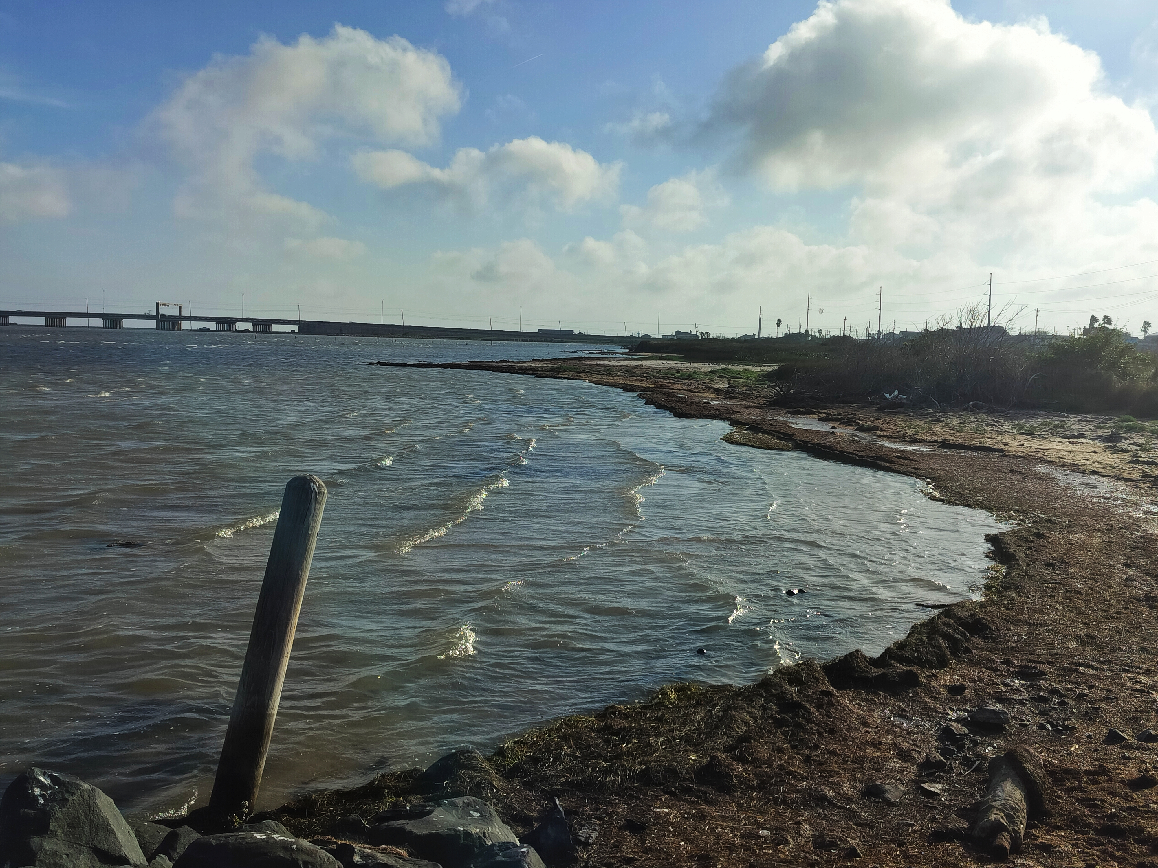 Wednesday Walk: 03.04.2026 - "From around the area"!