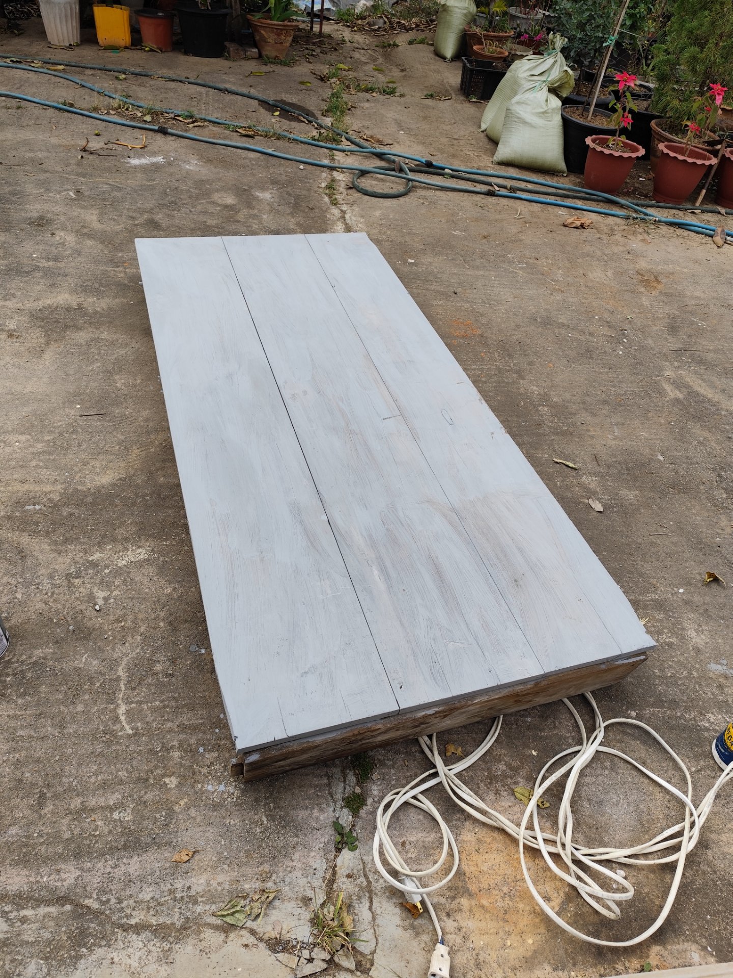 My Actifit Report Card: March 3 2026