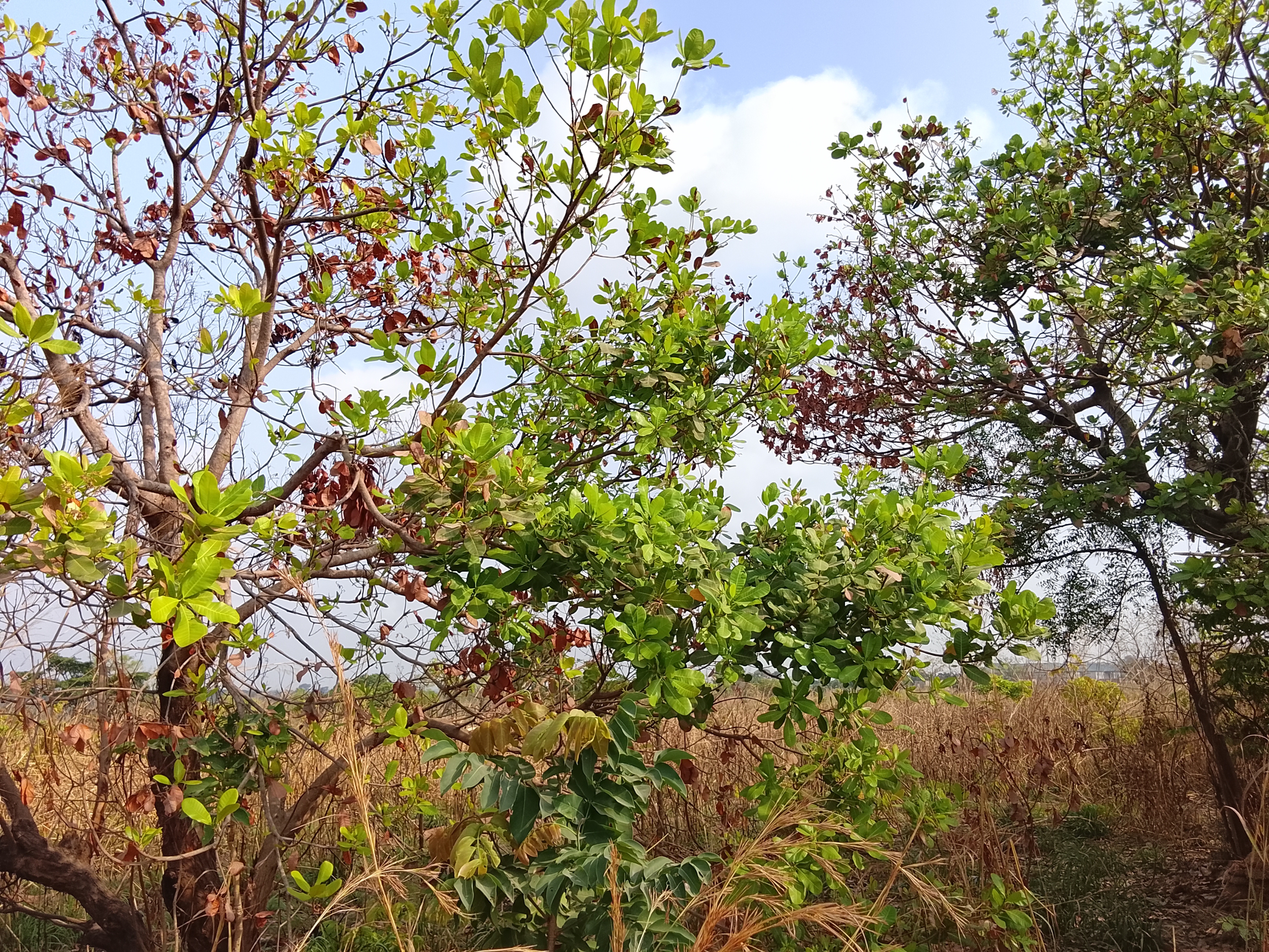 My Love for Photography!