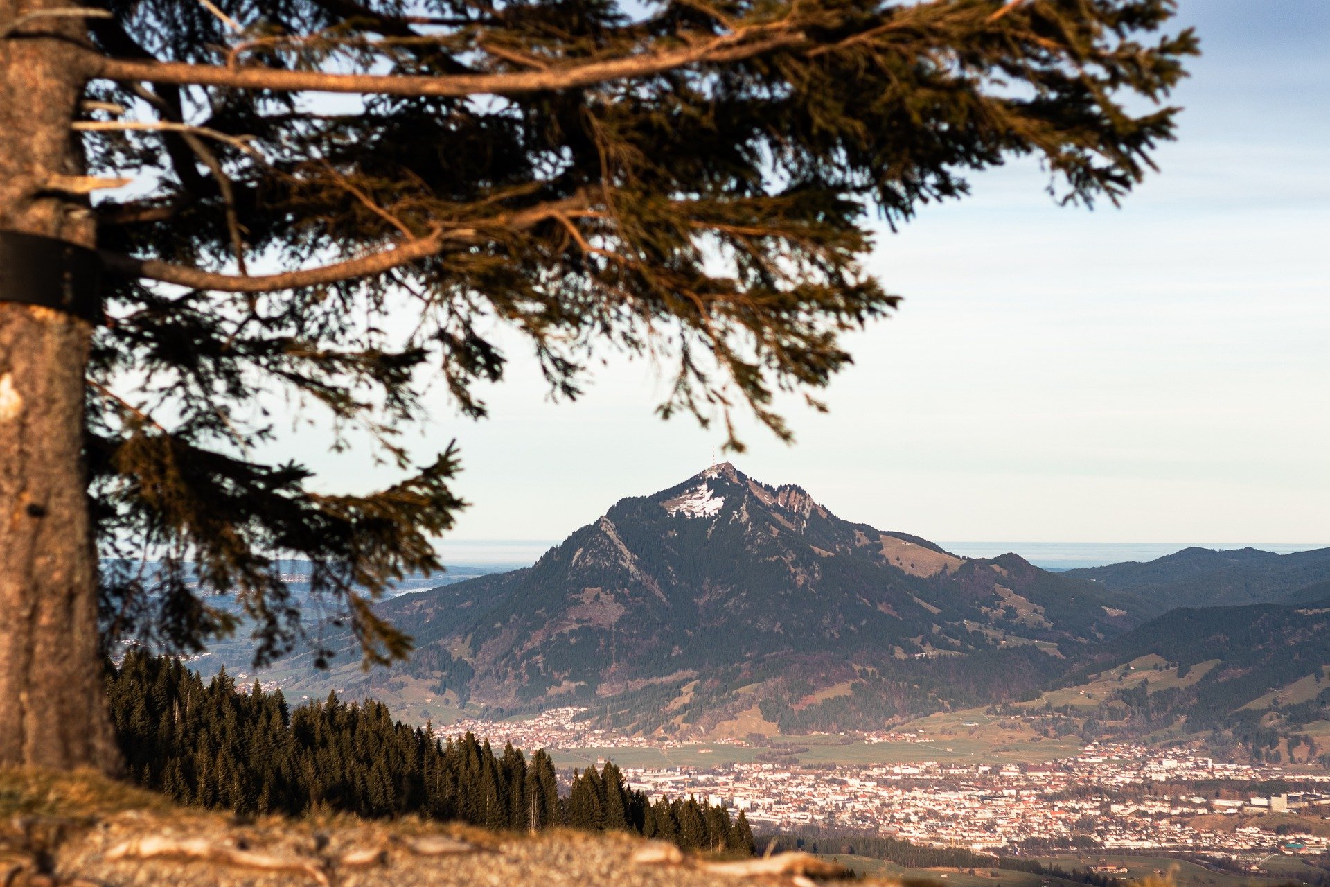 Unfortunately, I had to cancel my Europe tour this year.