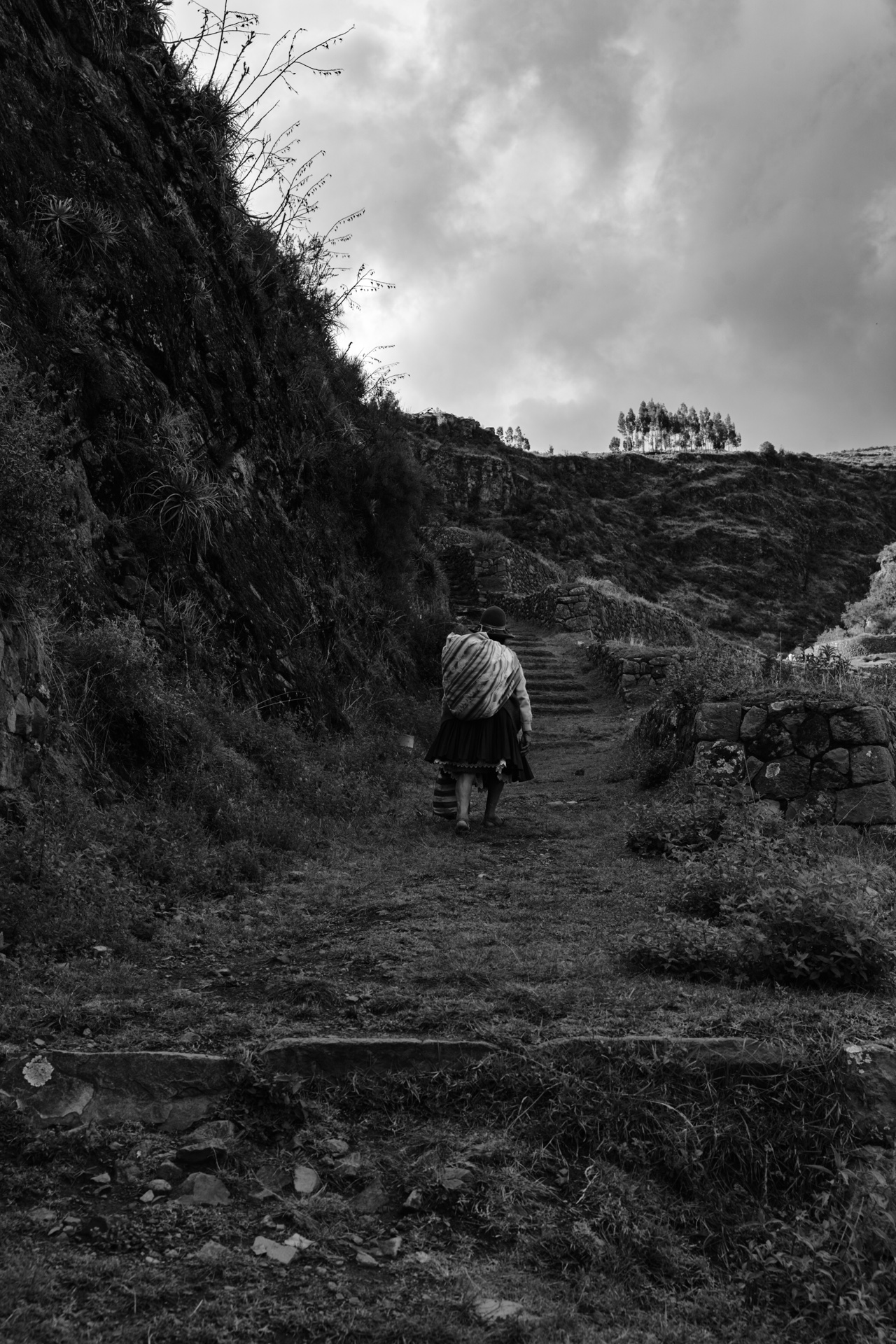 PISAC: THE ADRENALINE OF THE LENS