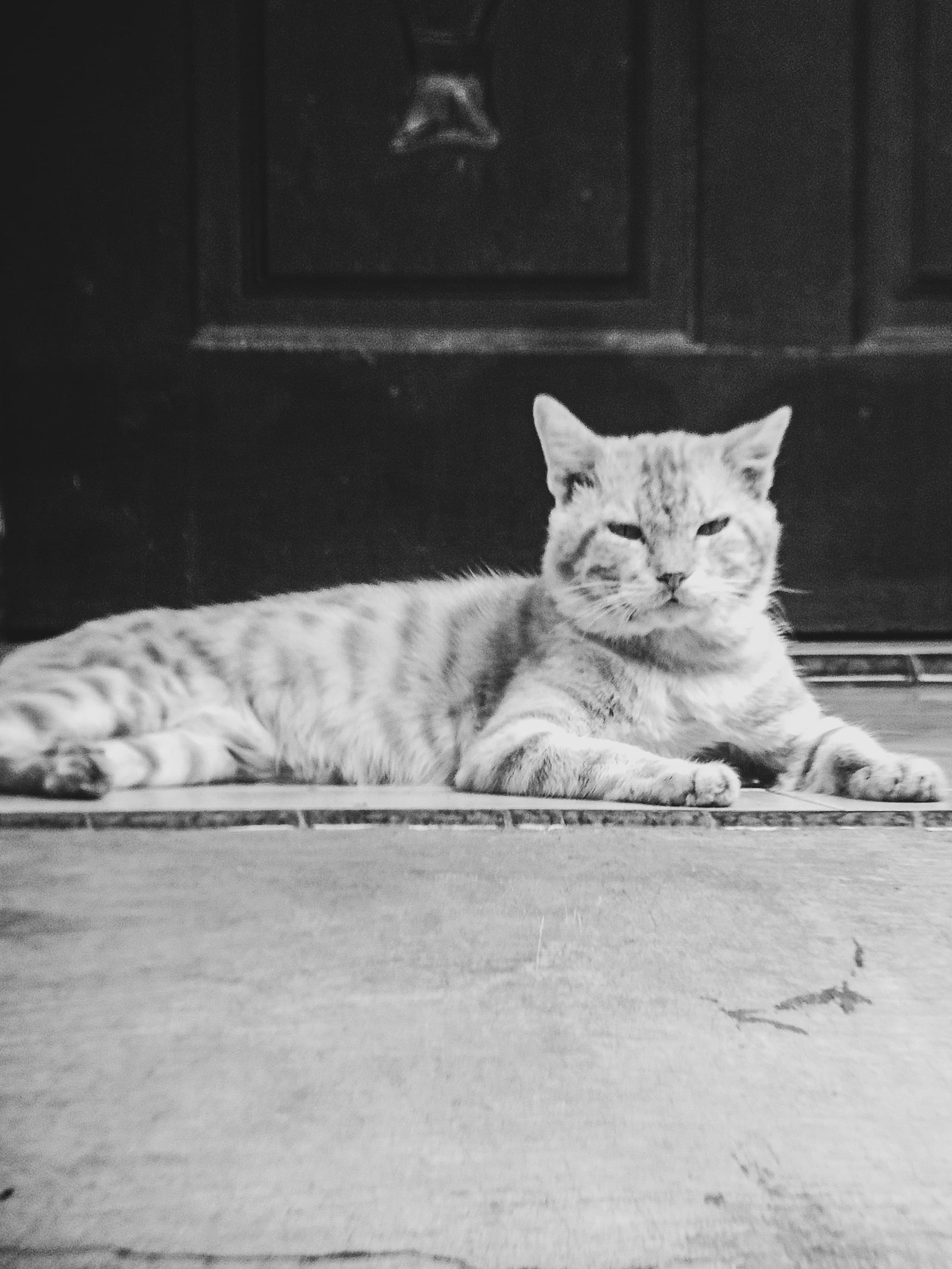 📸 PhotoFeed Contest - Black & White Photography Round 136