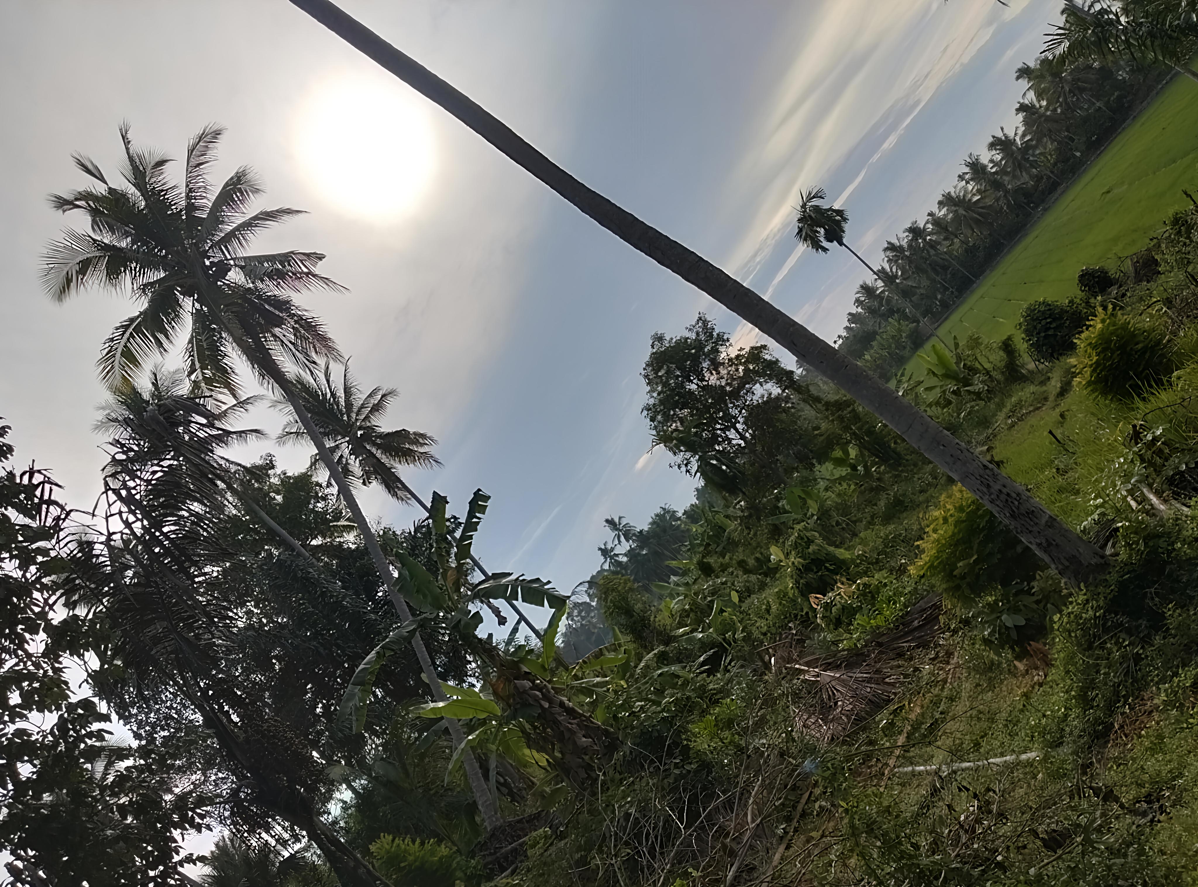 cool morning waiting for the sun to rise