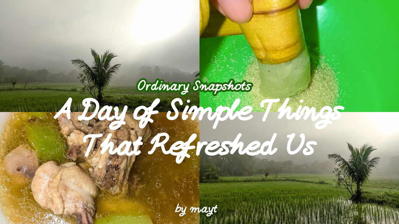 Ordinary Snapshots: A Day of Simple Things That Refreshed Us