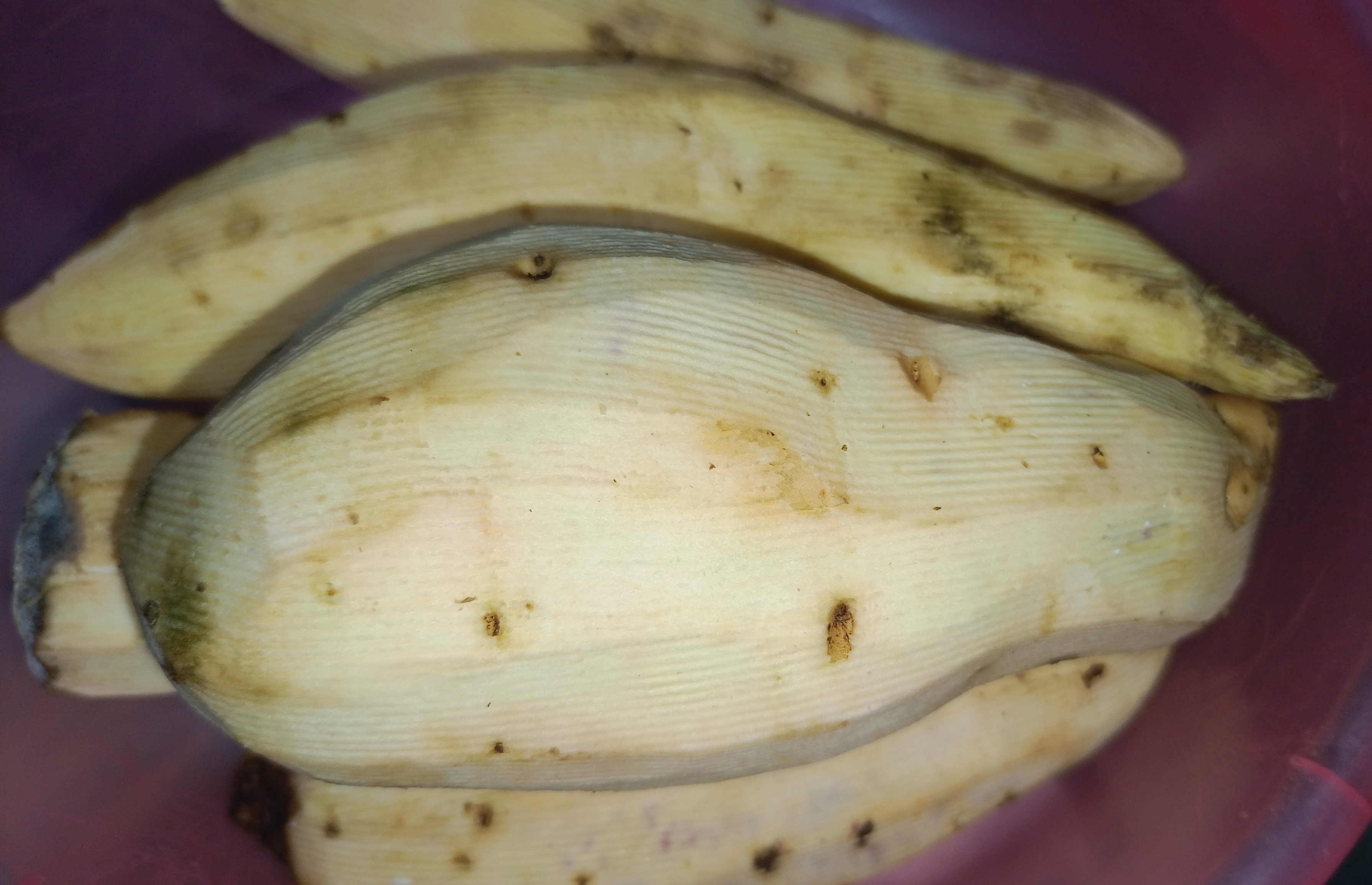 No Oven Needed: Chocolate Sweet Potato Cake