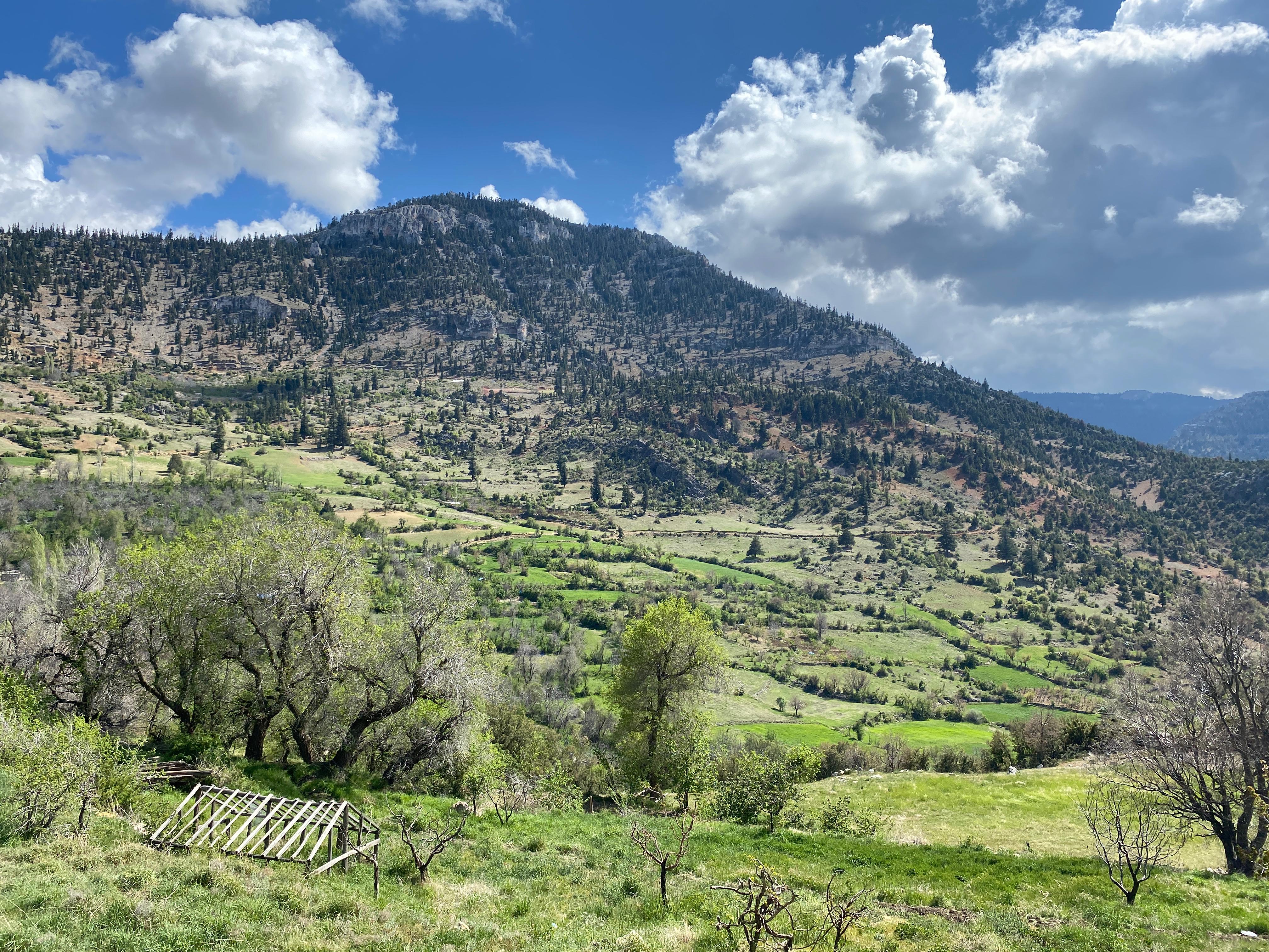 A Long Nature Walk #2 - Uzun Bir Doğa Yürüyüşü #2 [EN-TR]