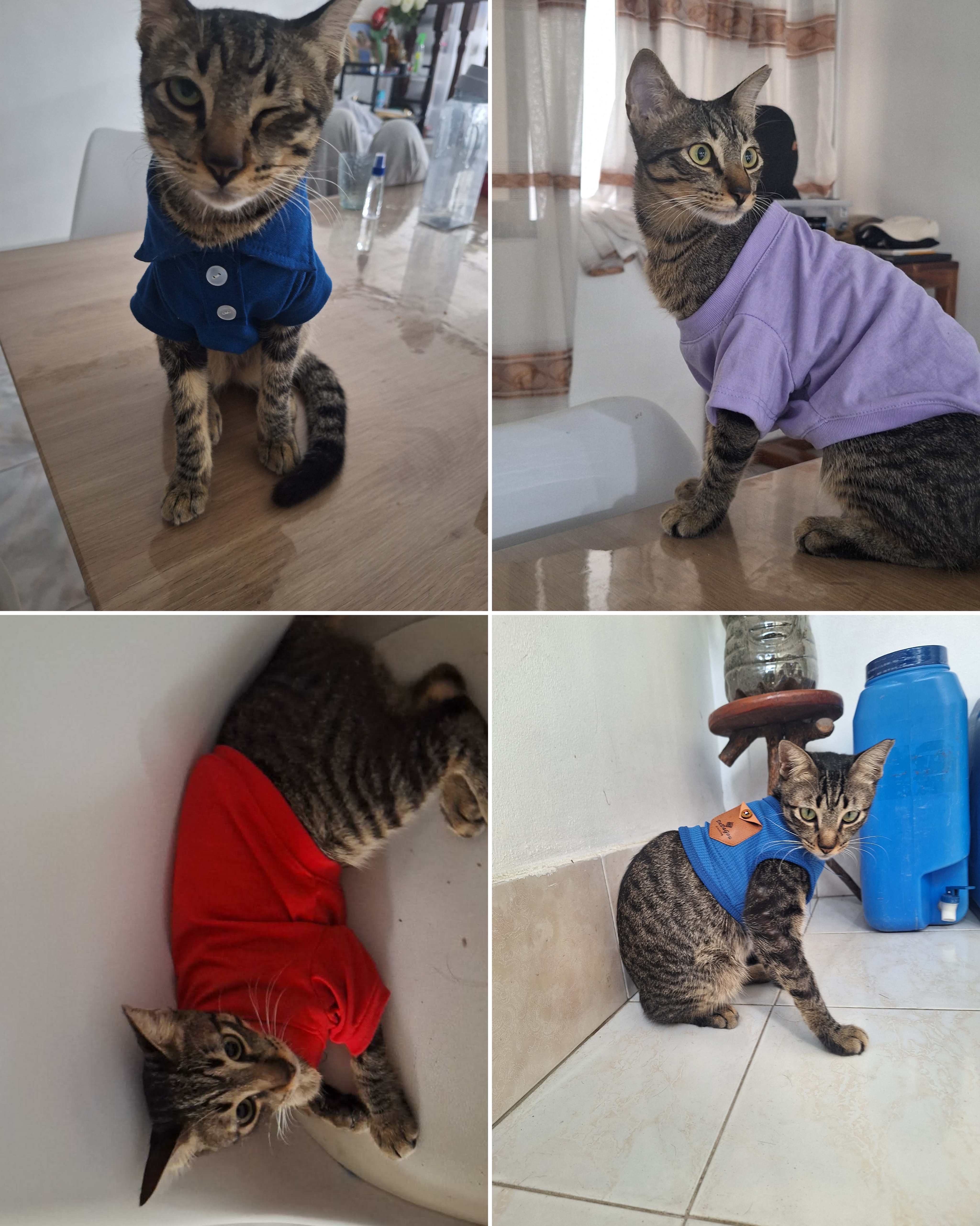 Carlito's 2025 Highlights