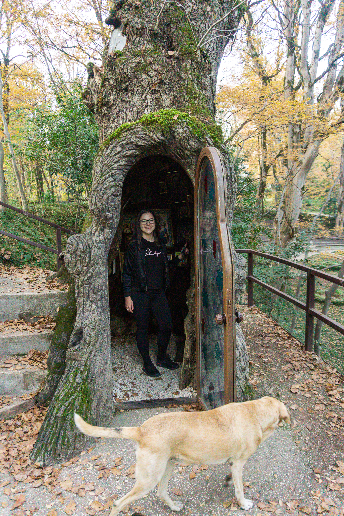 Kutaisi Adventures: Mountains, Caves & Cats in Georgia