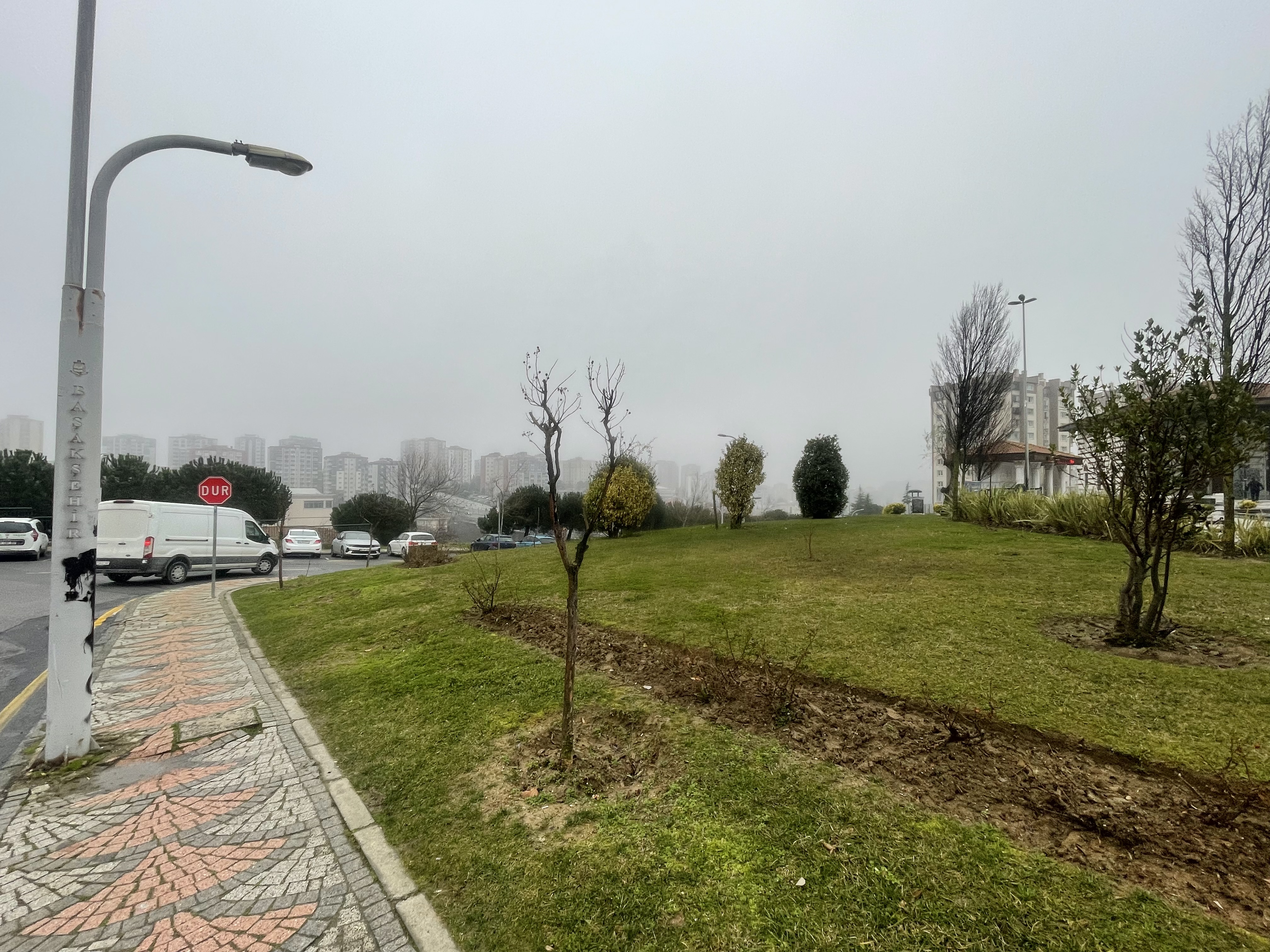 A Foggy Morning Walk in a Big Park 😊