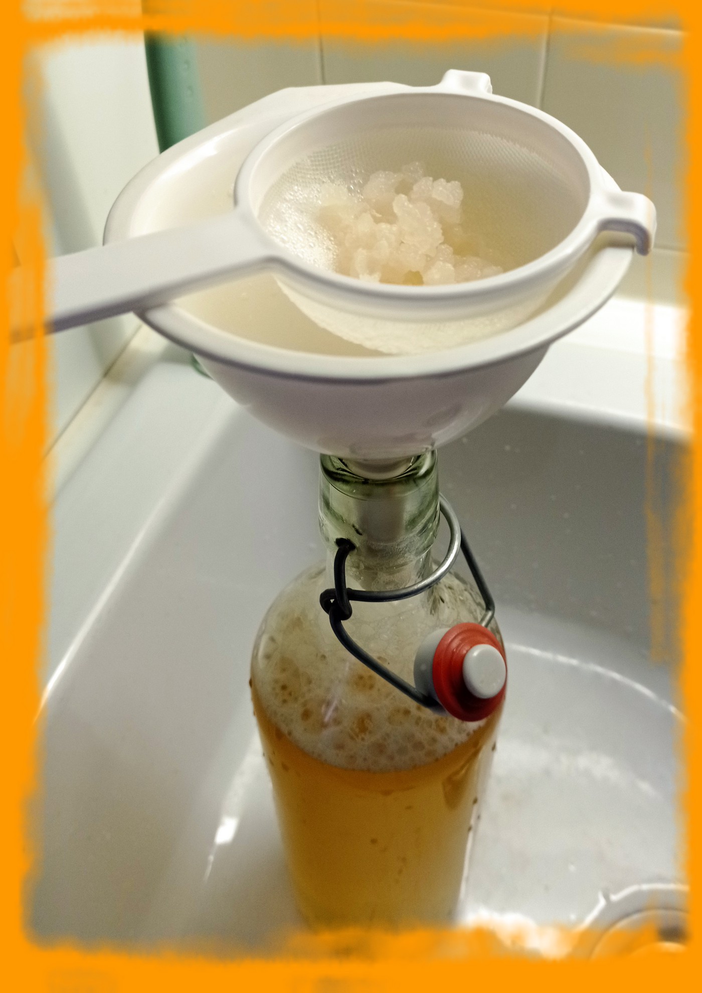 🍹Fruit Kefir: how to make it (En-Fr)🍹