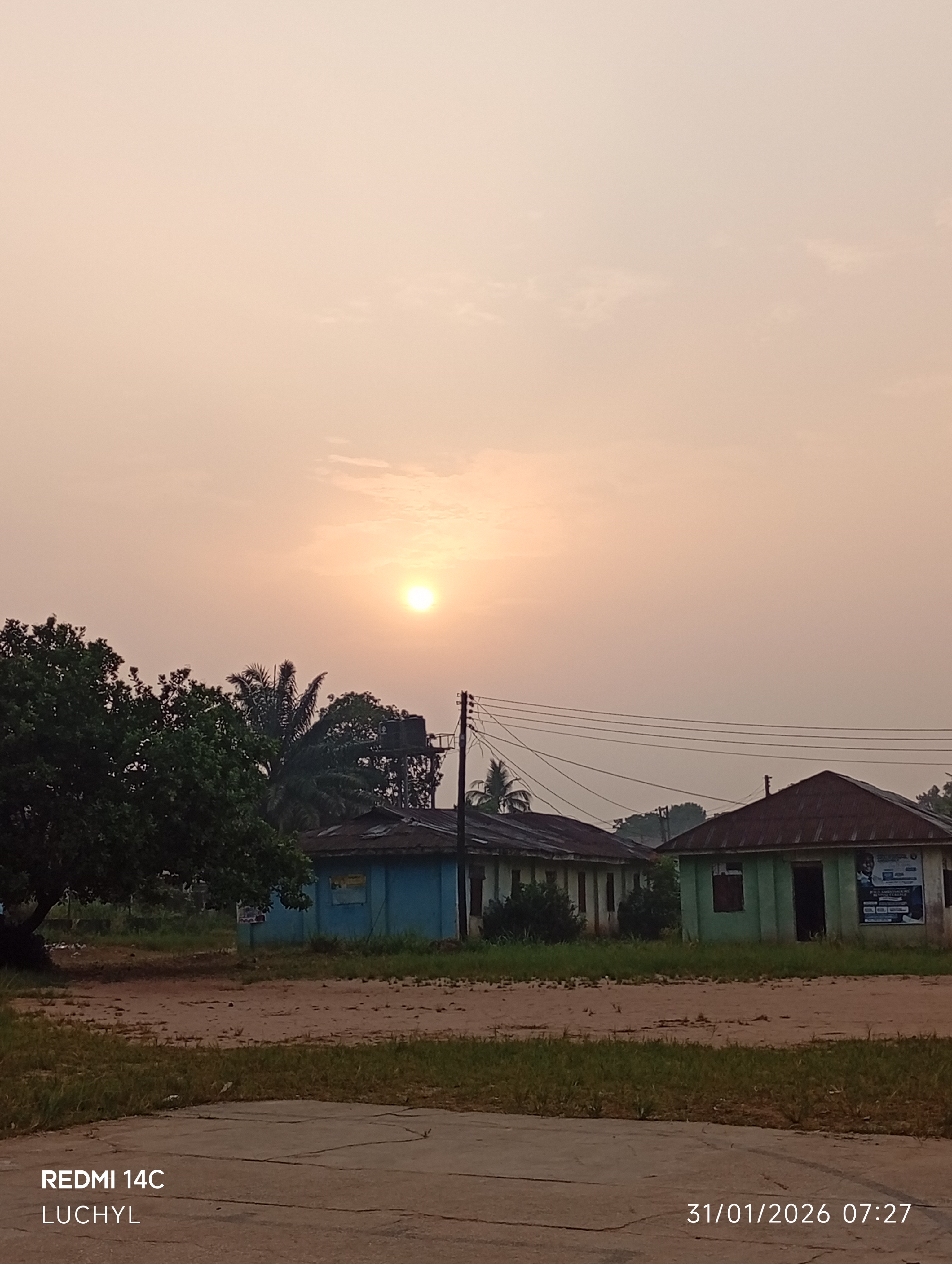 Beauty Among The Ruins! 