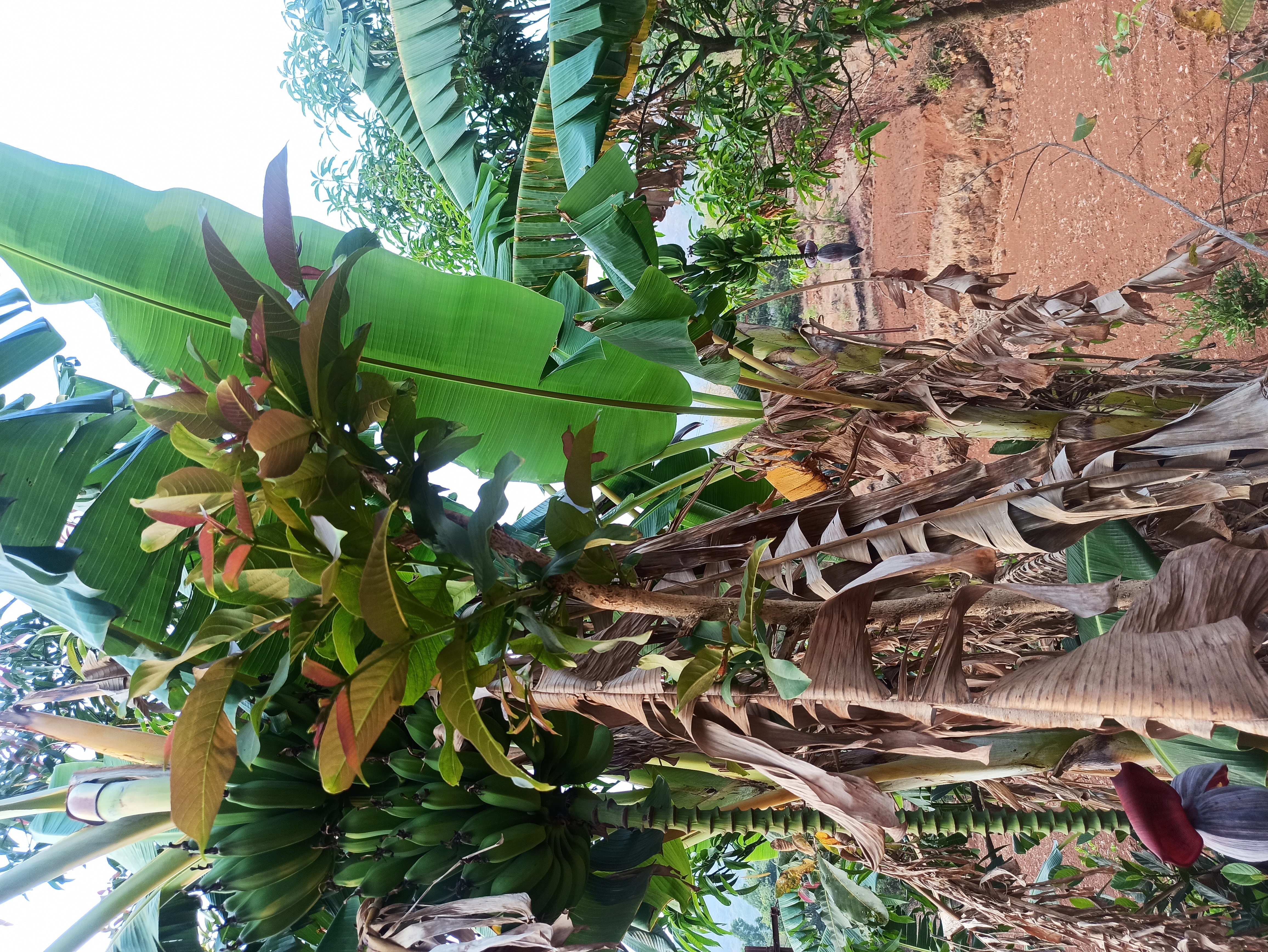 Today I and my friend went to a beautiful location in the village of Hirdoshi