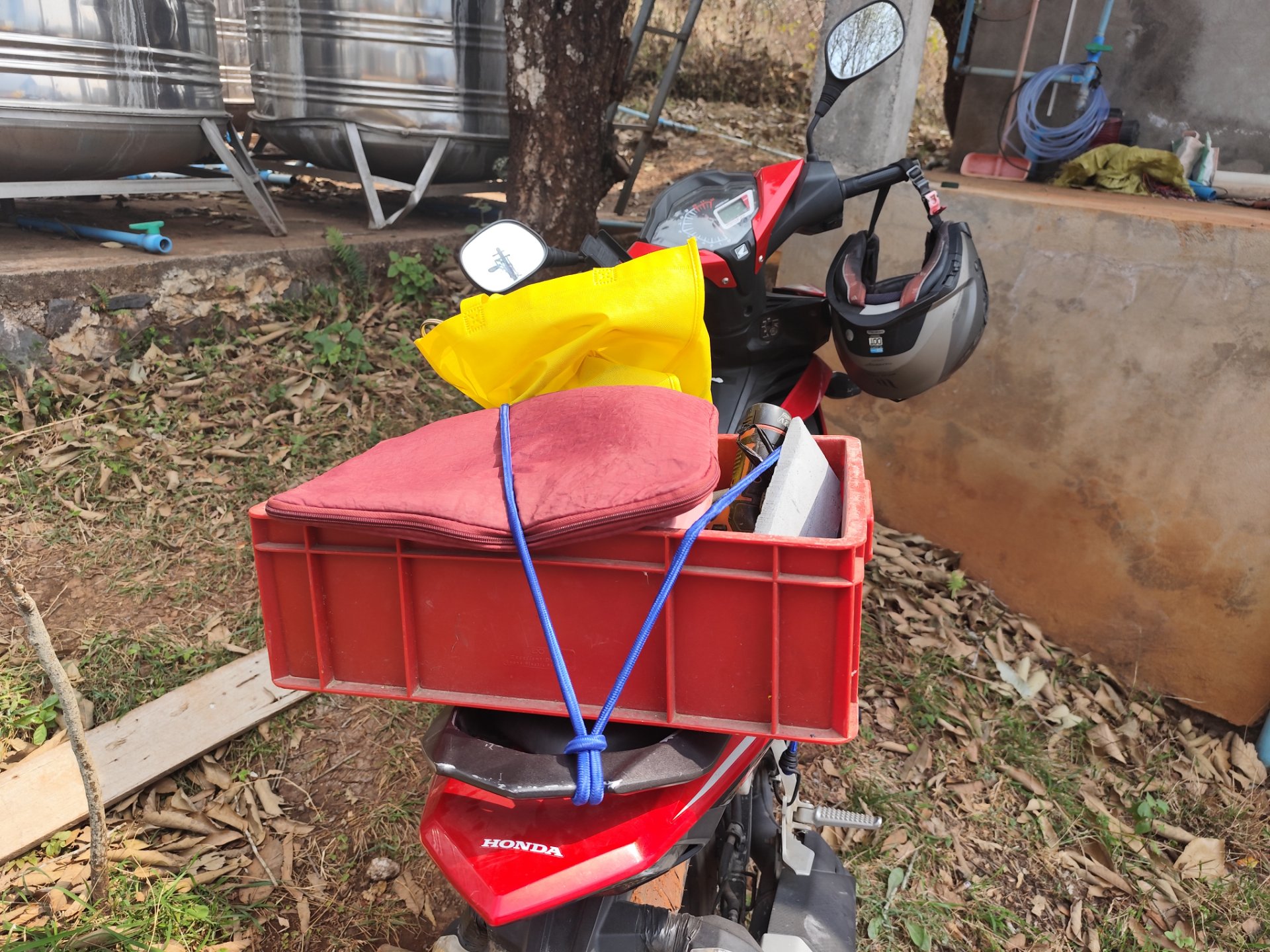 My Actifit Report Card: March 5 2026
