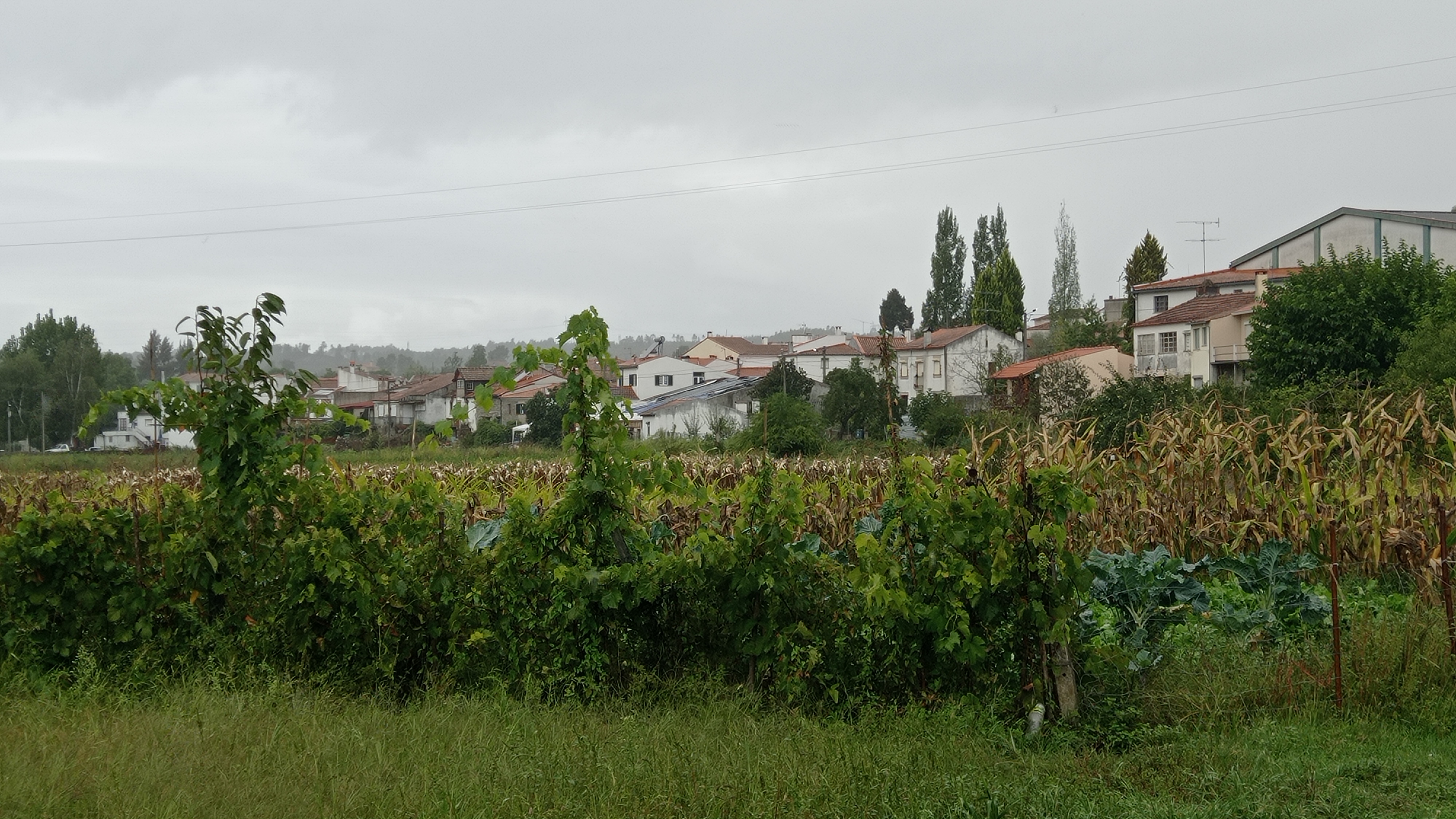 On Changing Seasons plus bonus Feel Good Movie Recommendation