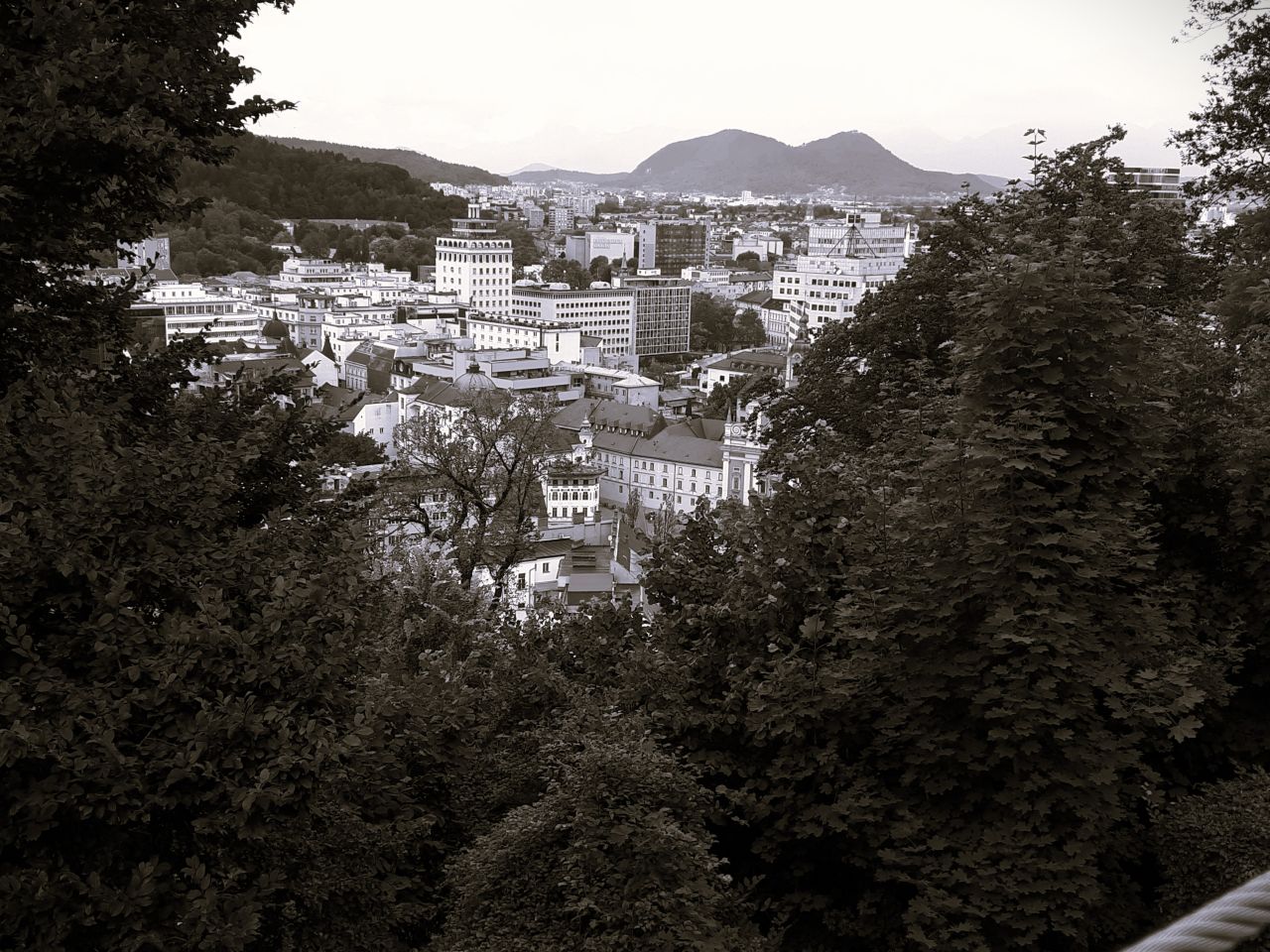 My Black And White Photography Challenge Entry #631