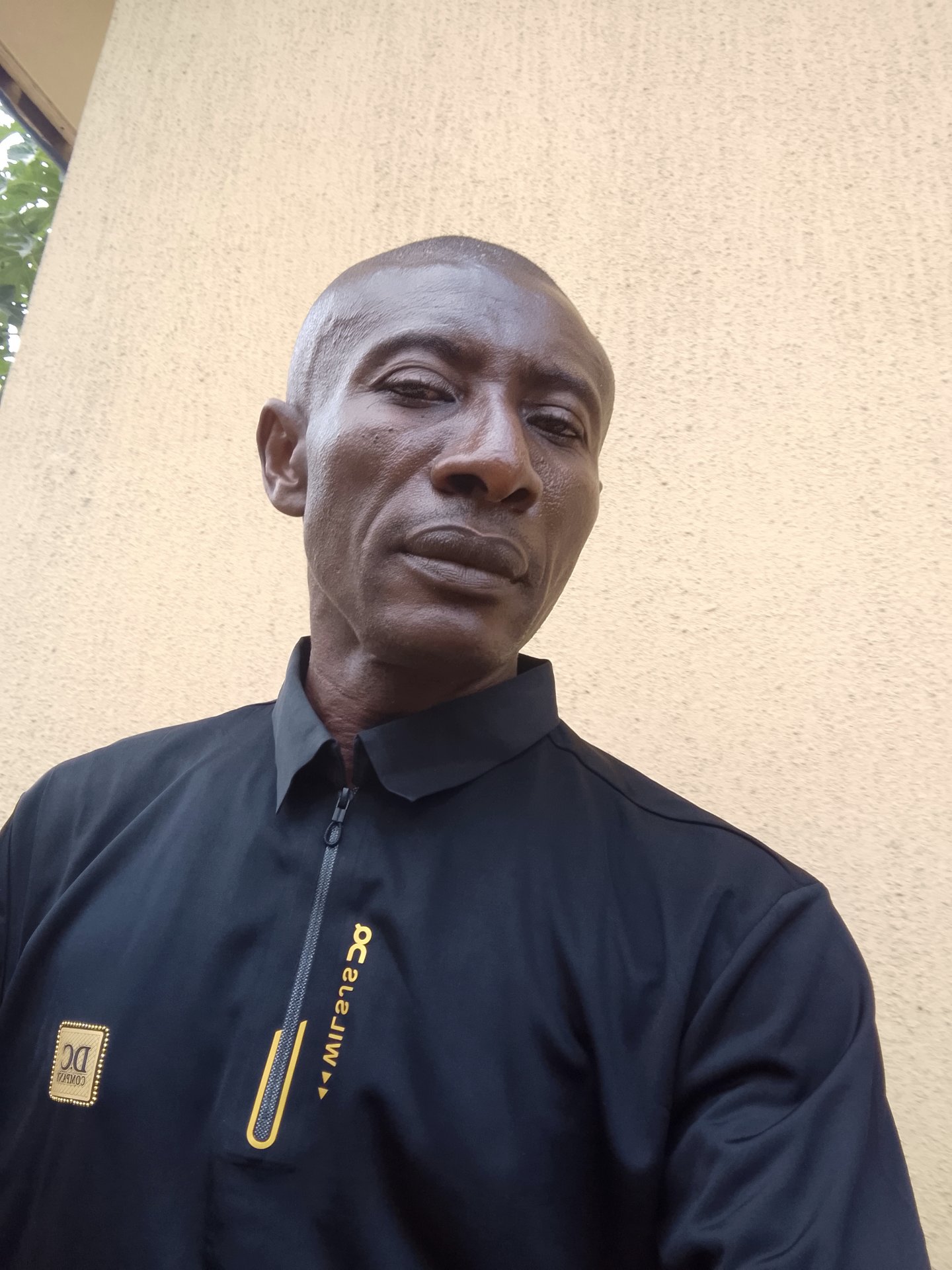 My Hive's Journey Begins Here