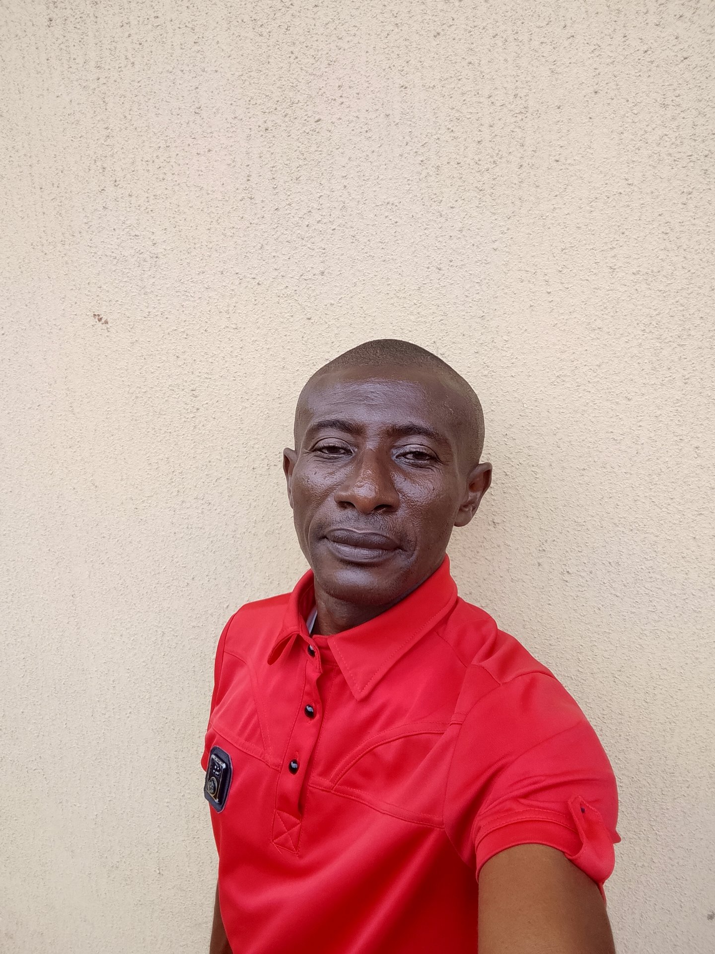 My Hive's Journey Begins Here