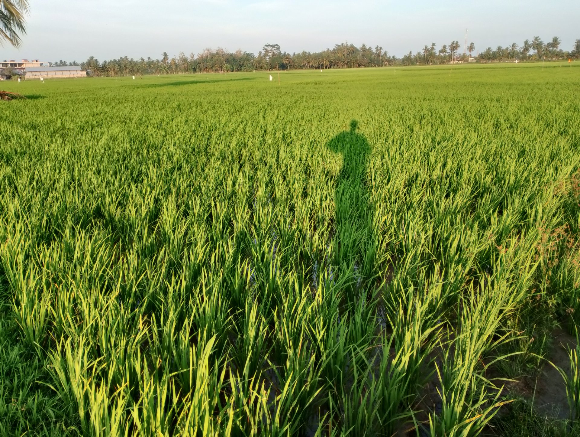 My Actifit Report Card: March 5 2026