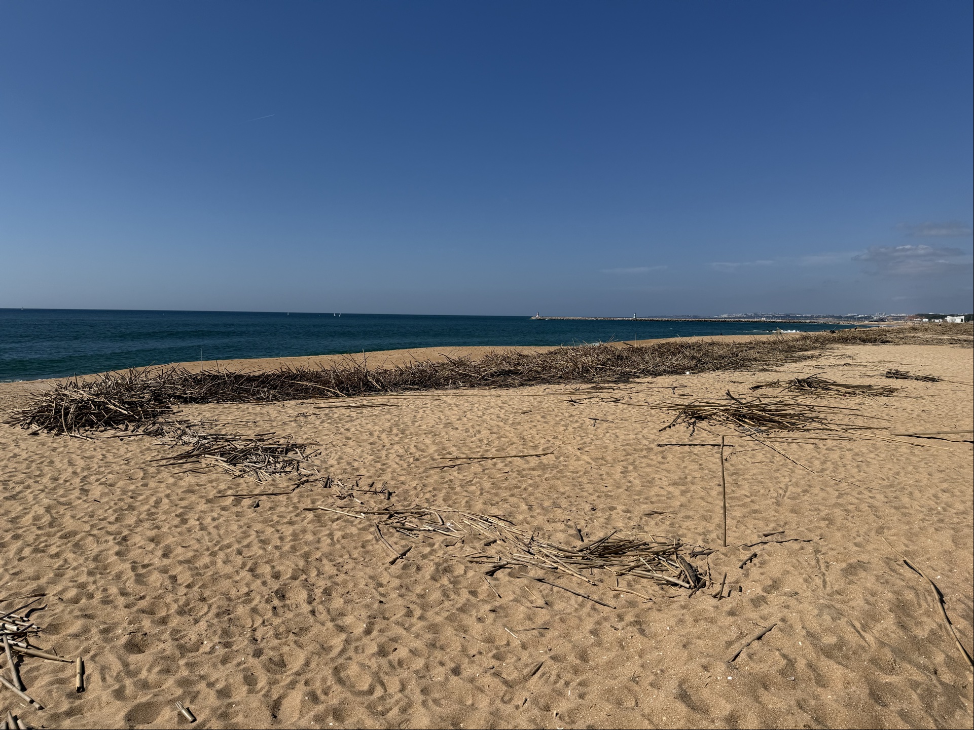 Ocean bringing stuff