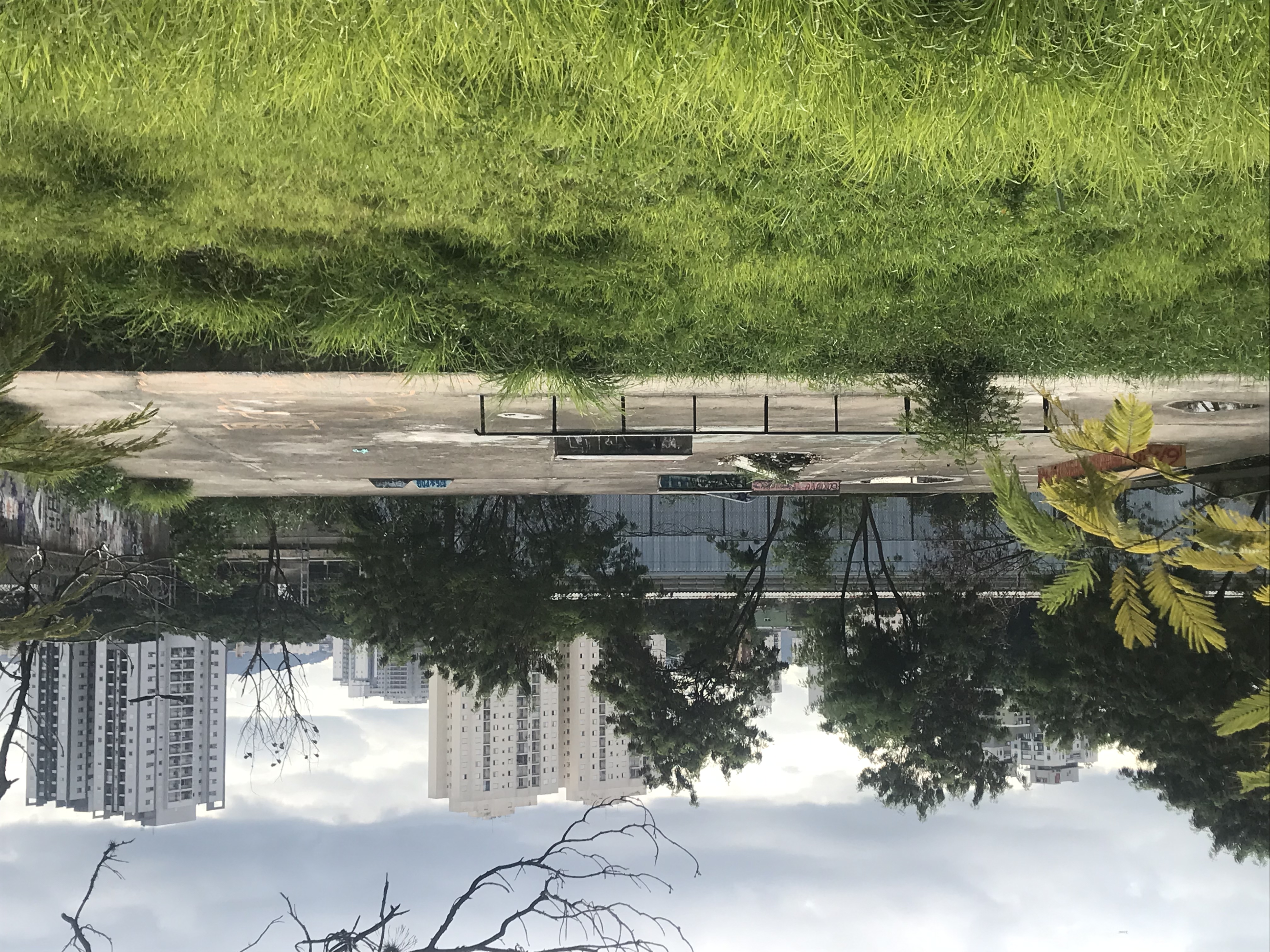 A little skateboarding in colectivo do Brasa