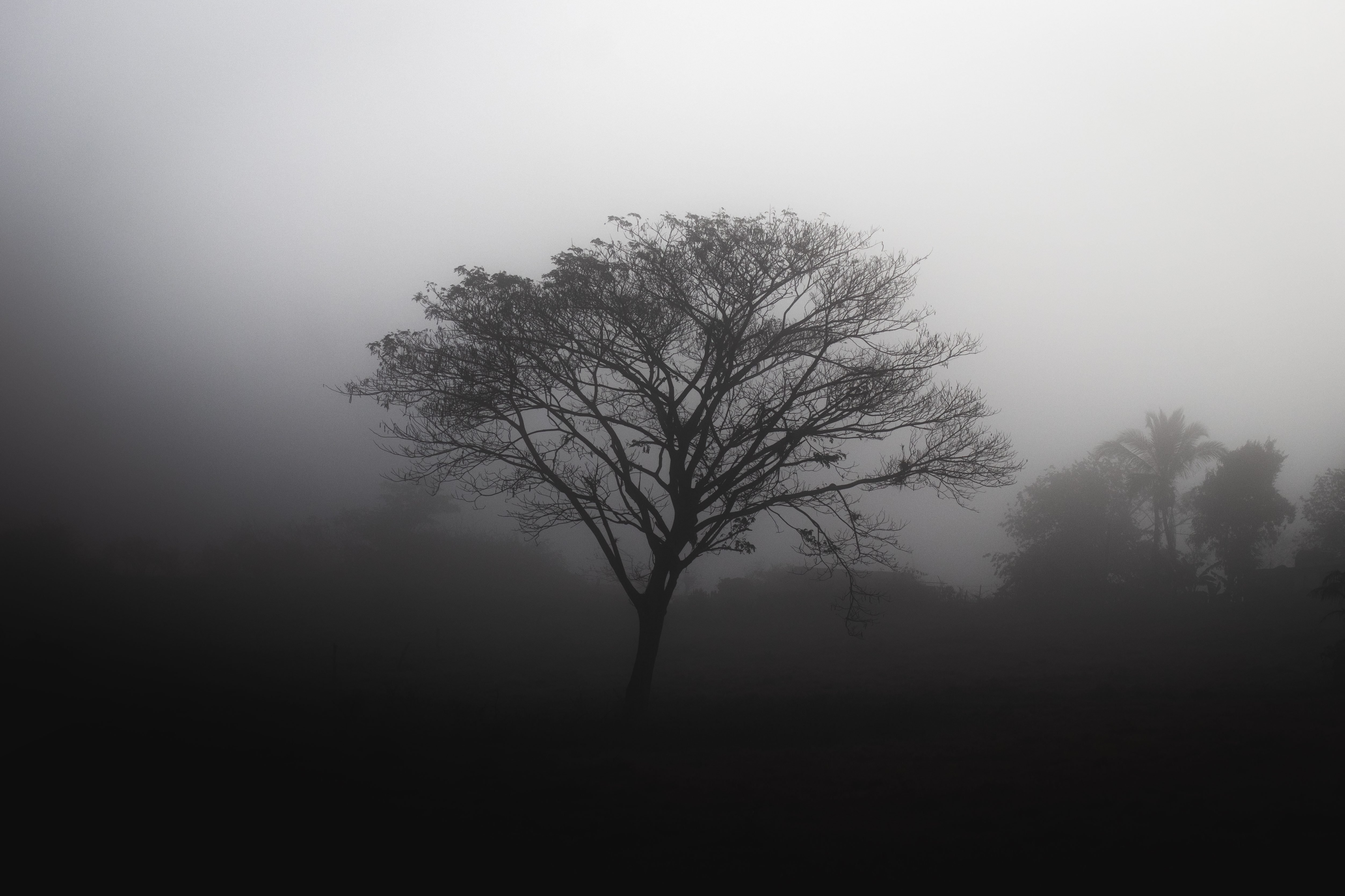 Sombras matutinas - Morning Shadows [Esp - Eng]