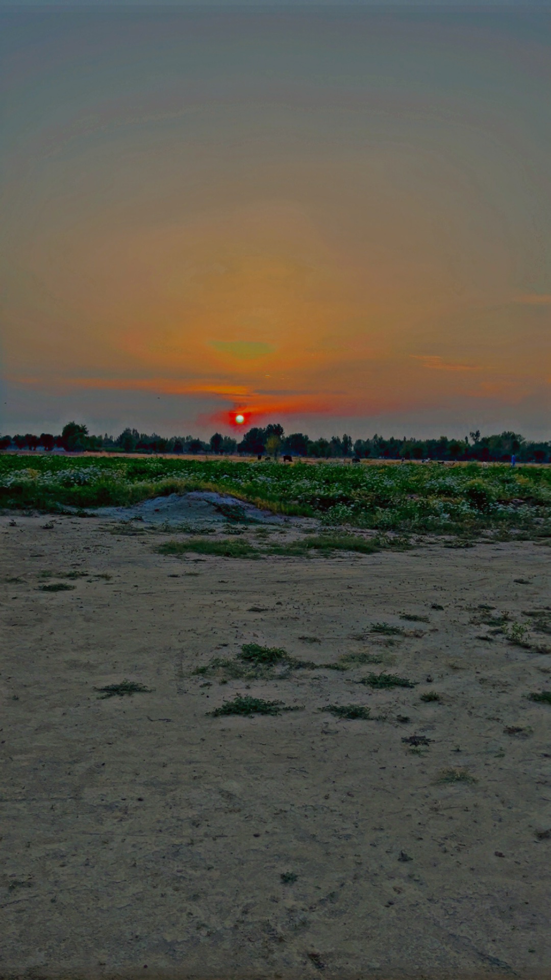 Chasing the Perfect Sunset: A Photographer’s Golden Obsession