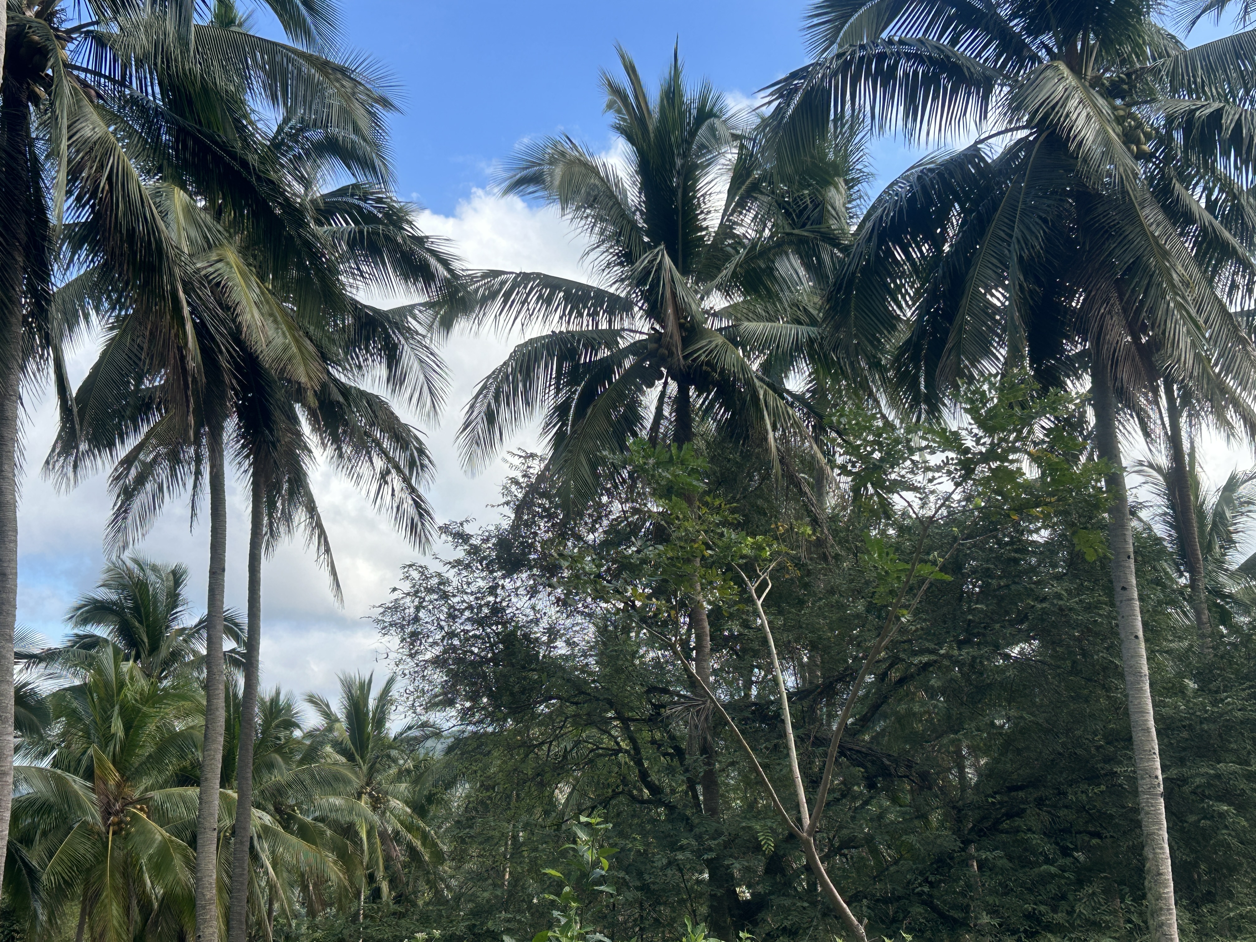 A Morning in the Province