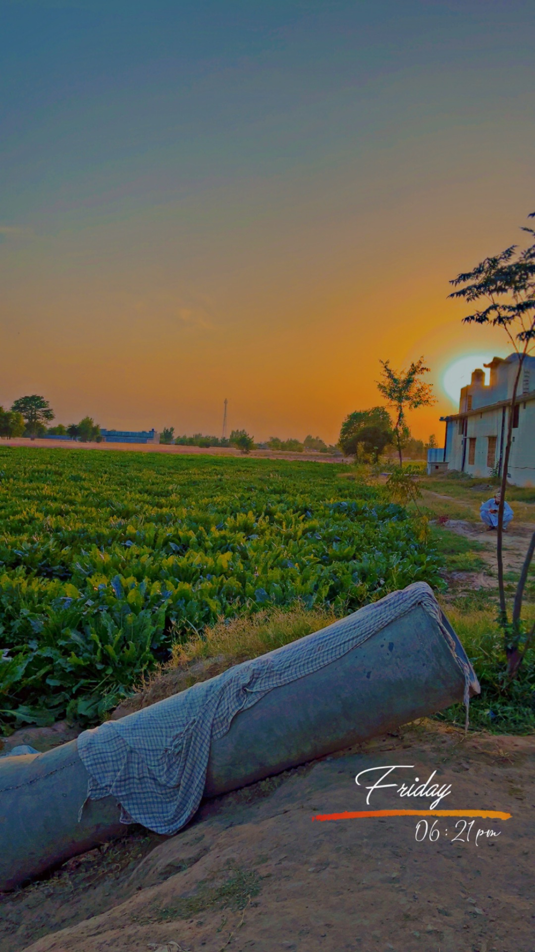 Chasing the Perfect Sunset: A Photographer’s Golden Obsession