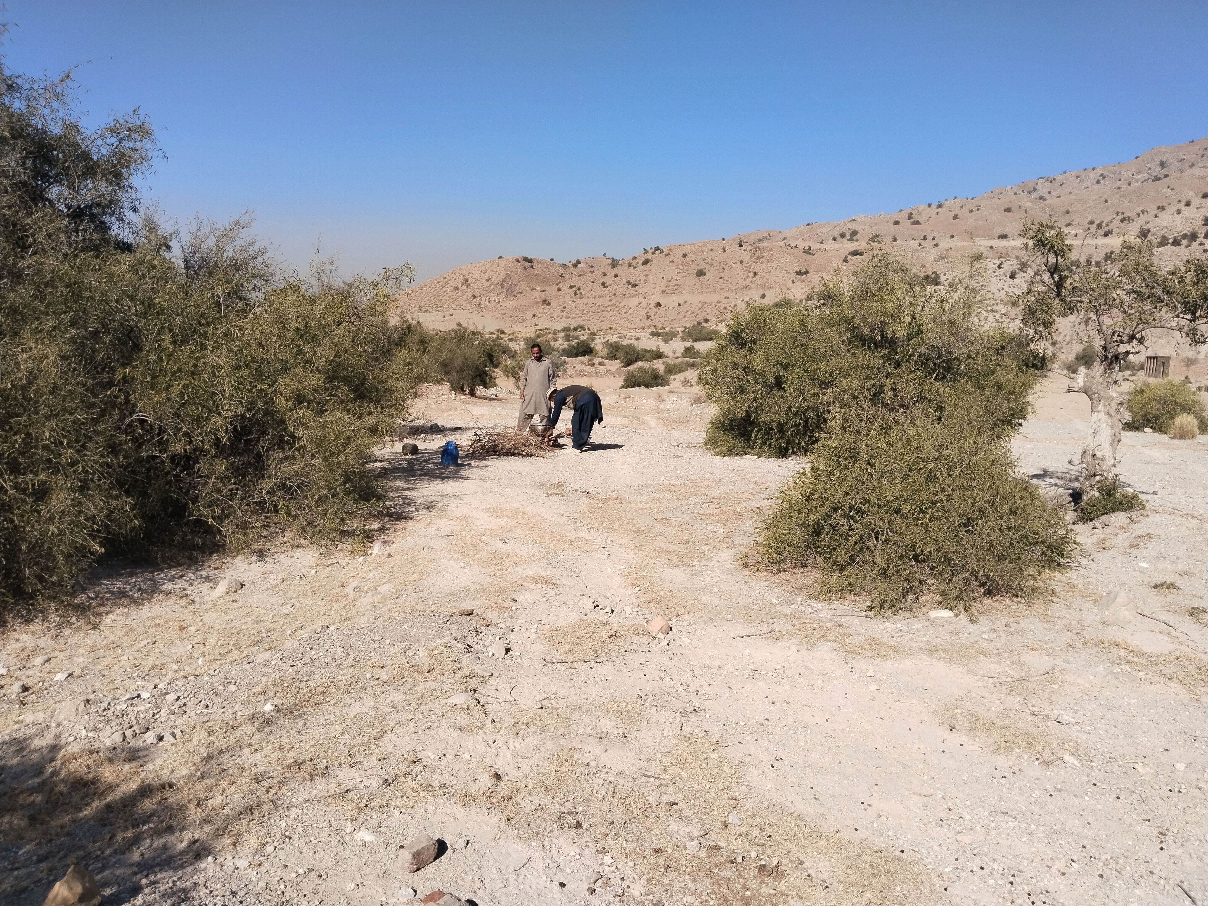 Hike, Eat, Repeat: Savoring the Flavours of Friendship in the Mountains: Enjoying Nature With Friends 