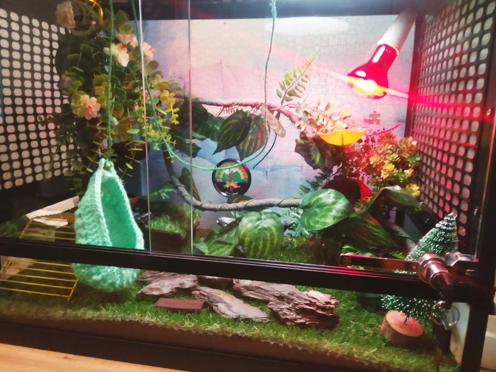 А хто, хто в рукавичці живе?