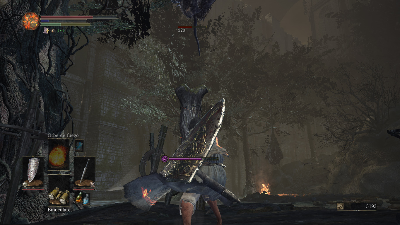 🔥📜 The price of knowledge.