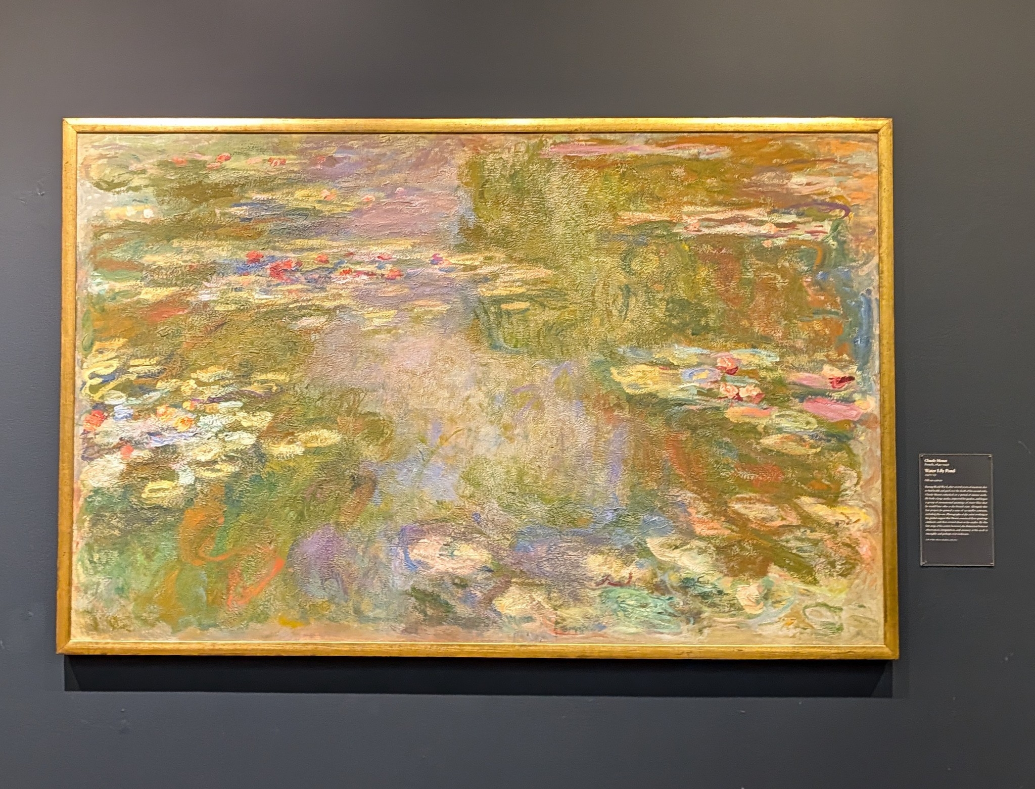 Chicago Art Institute Lions