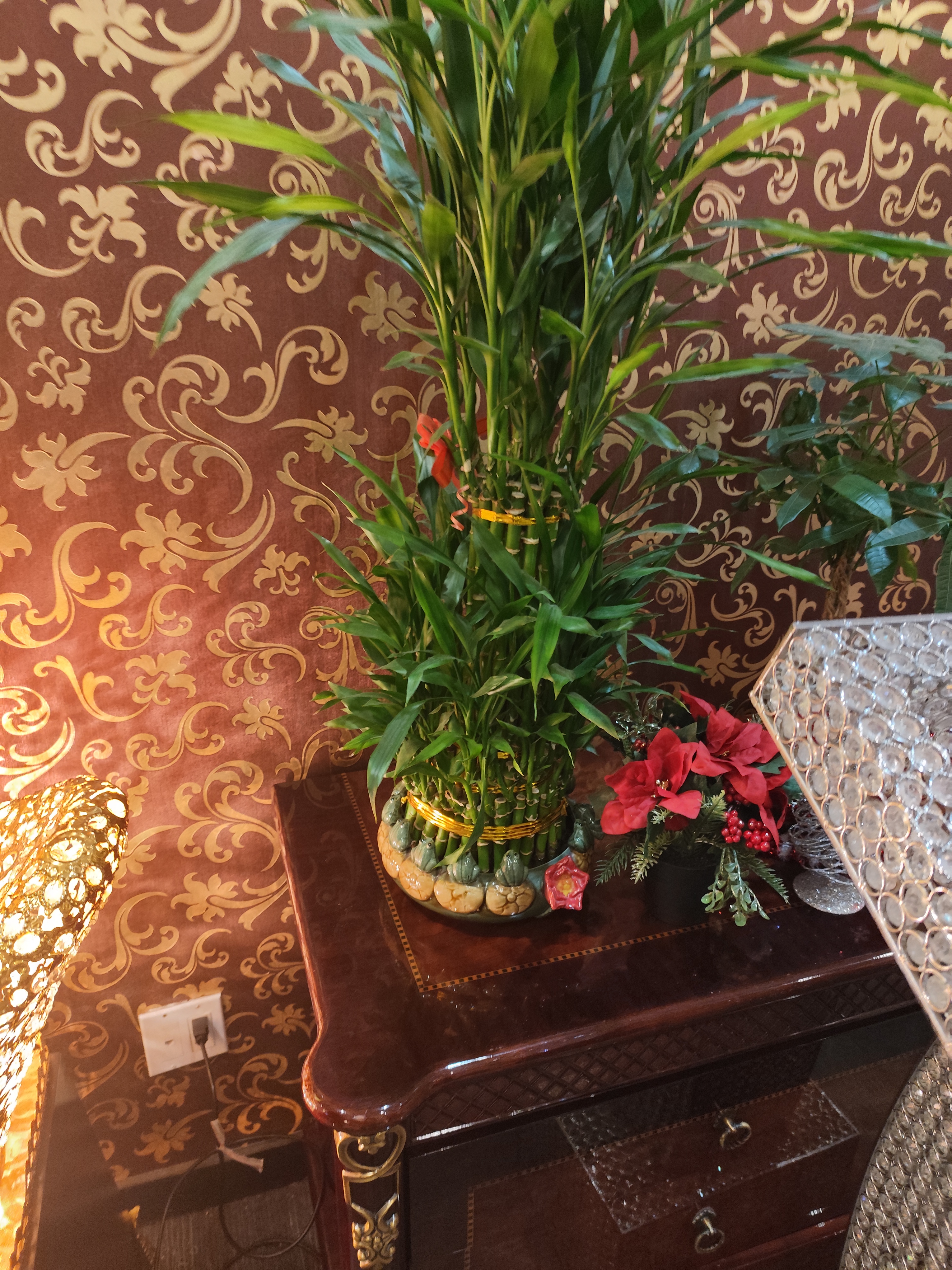 New Year's Eve Chinese Lunch Dimsum @ Zunyan Fine Dining In Toronto