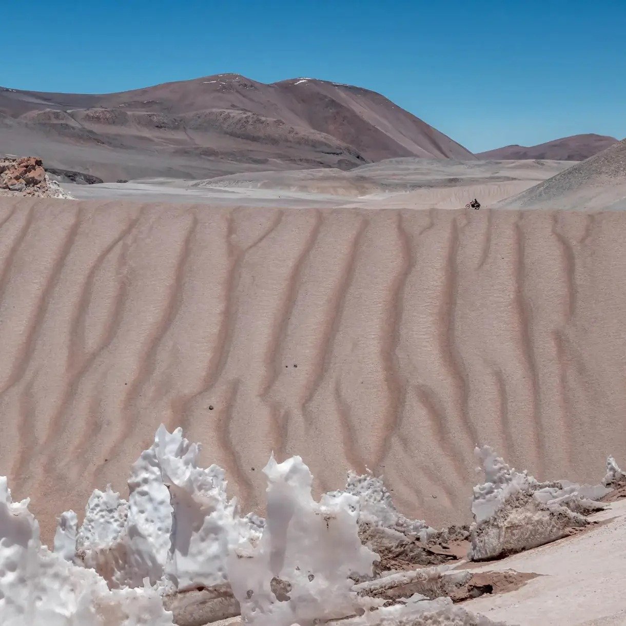 Corona del Inca in Argentina