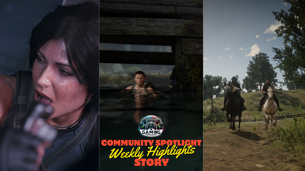 Community Spotlight: Weekly Highlights in STORY Category.
