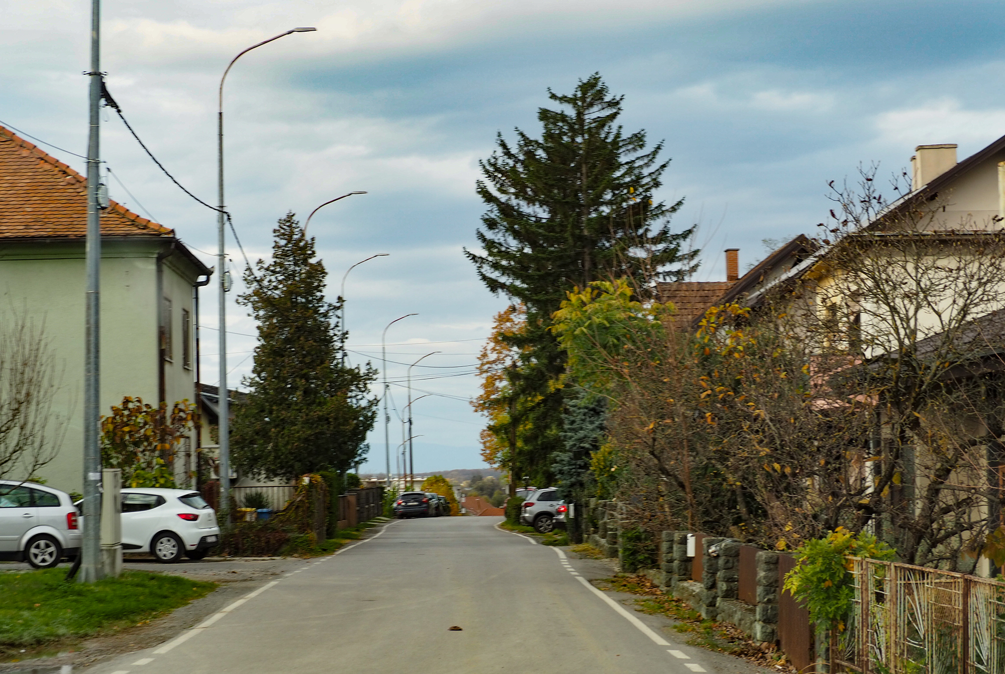 Just One Autumn Stroll around the City