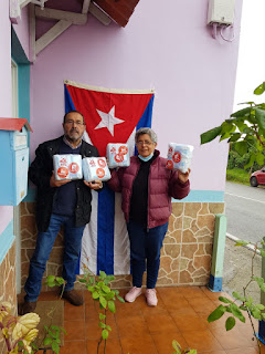 🇨🇺 /🇪🇸 ¡¿Hormiguitas laboriosas en Cuba?! || Hardworking ants in Cuba?! [Esp-Eng]