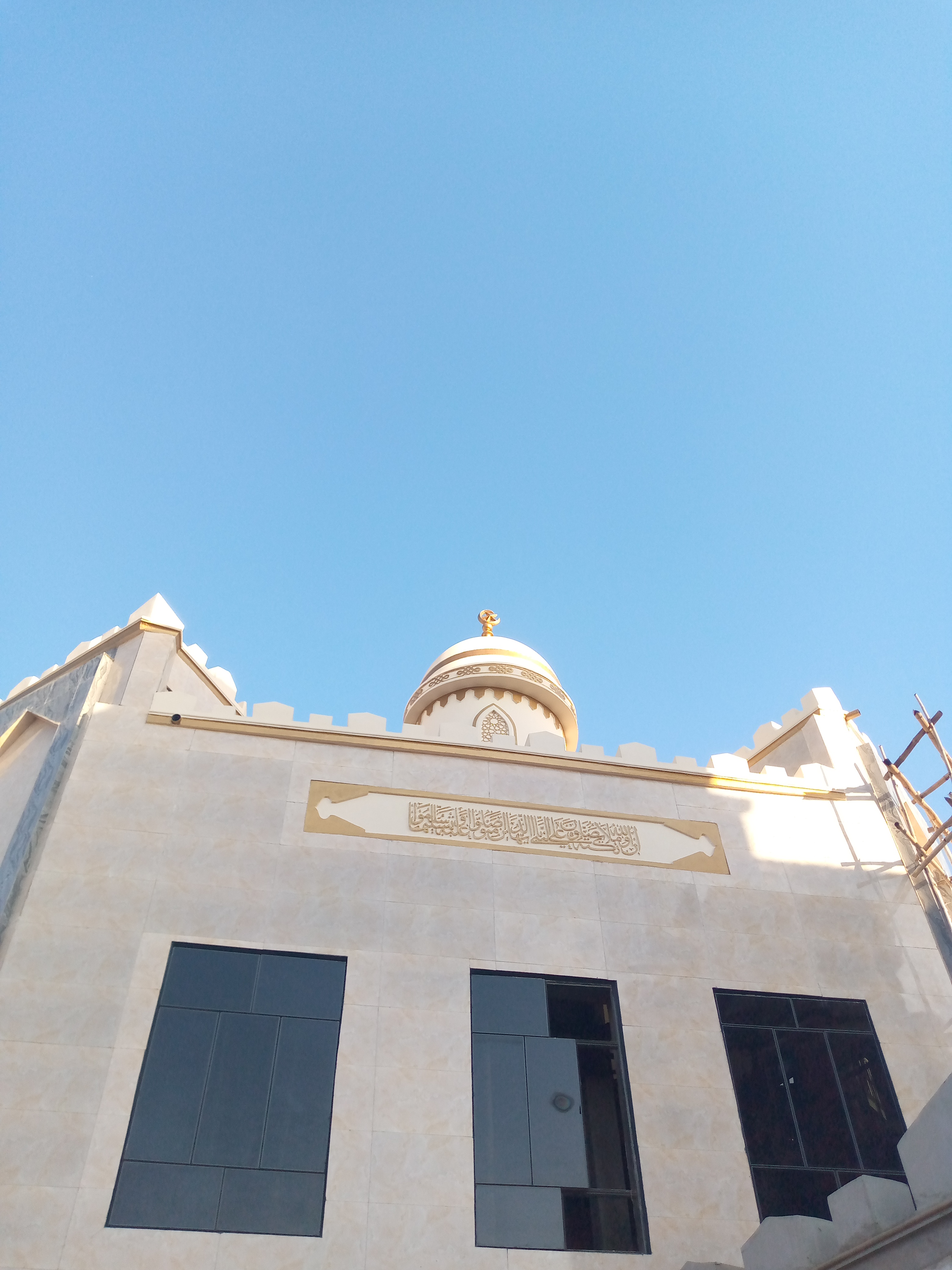 My Actifit Report Card: November 24 2025 || A Cool Tuesday Walk