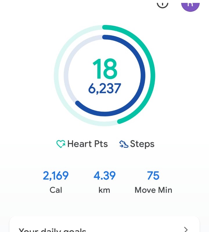 My Daily Activity Report: March 3 2026