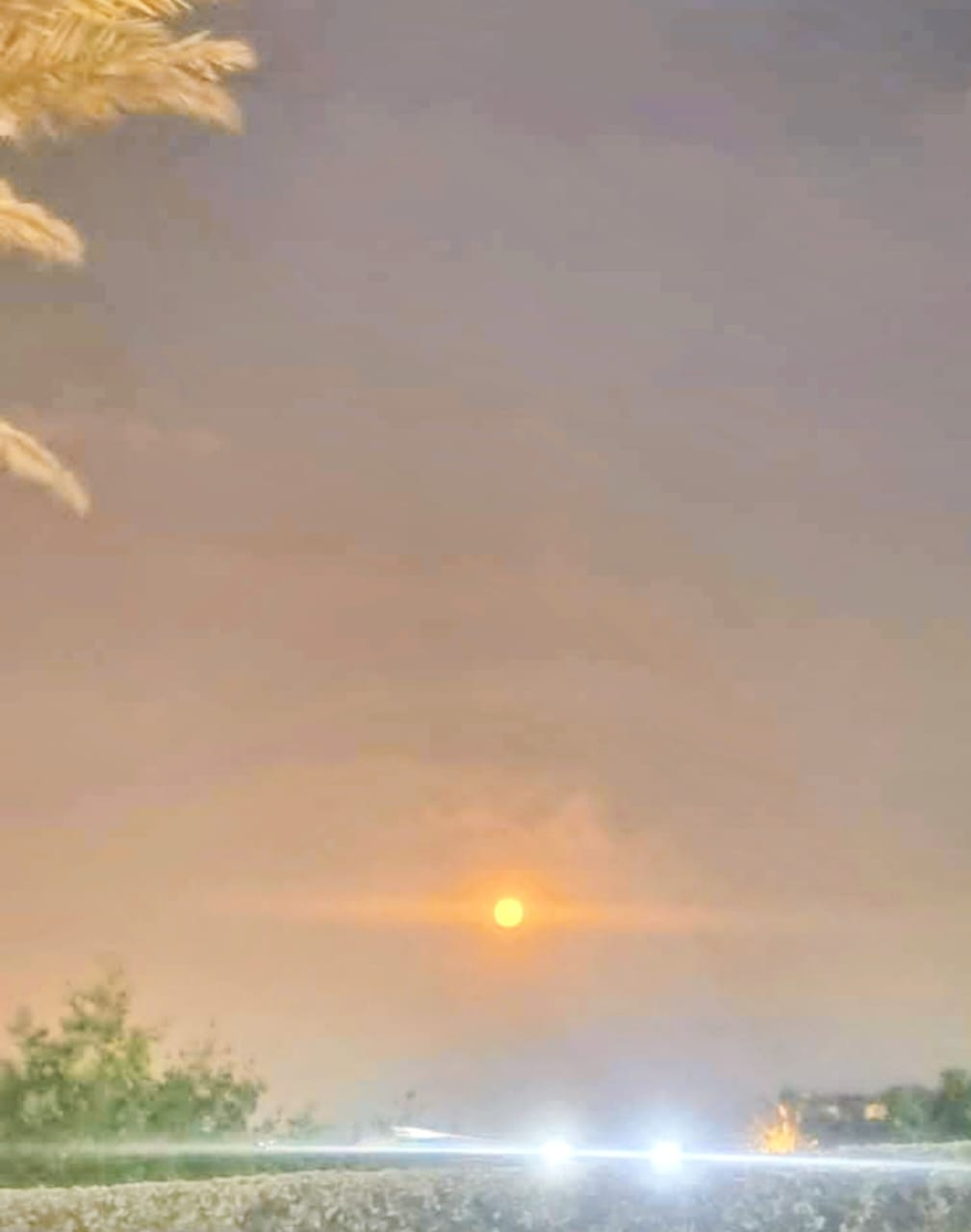 Un mundo mejor/A better world - LOH #278 [ES/EN]