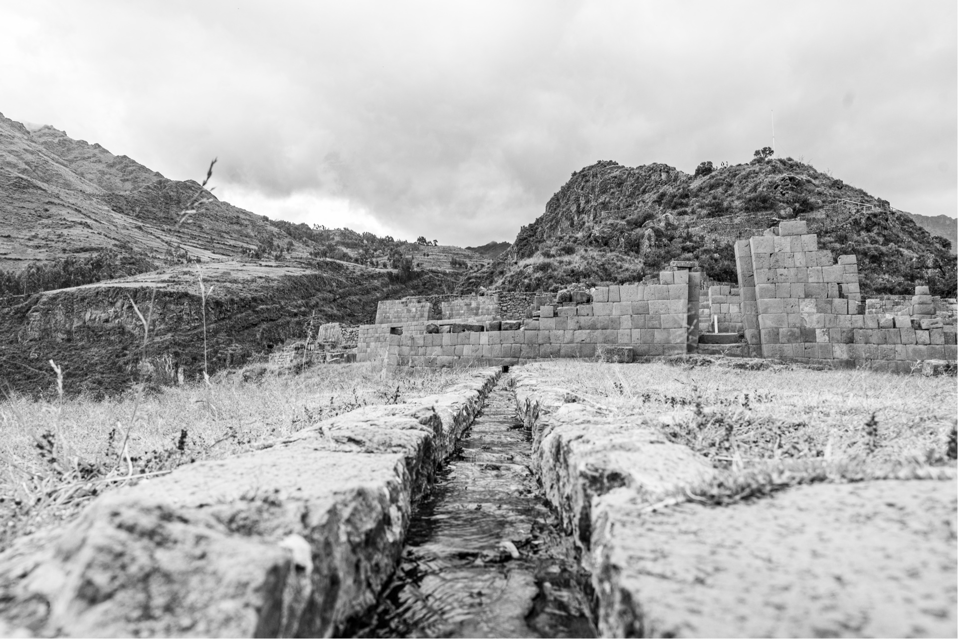 Pisac: Love, Wachuma, and Ancient Reflections / Pisac: Amor, Wachuma y Reflexiones Ancestrales [Eng-Esp]