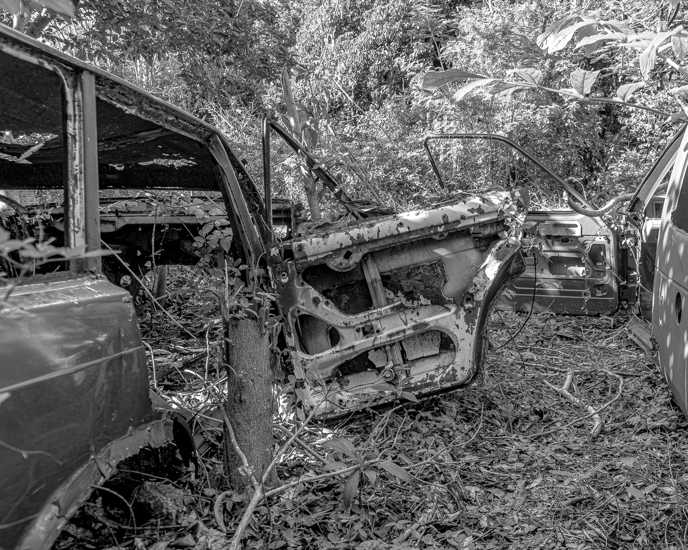  Car deposit/ Monomad Challenge [Eng/Esp]