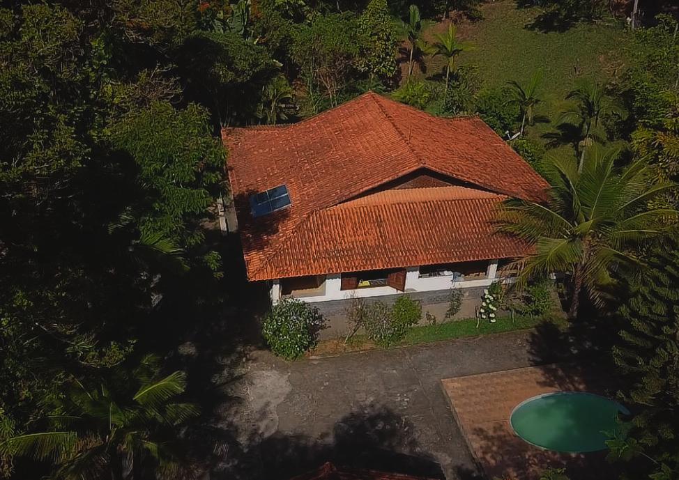 Among trees, photos and friendship [EN/PT]