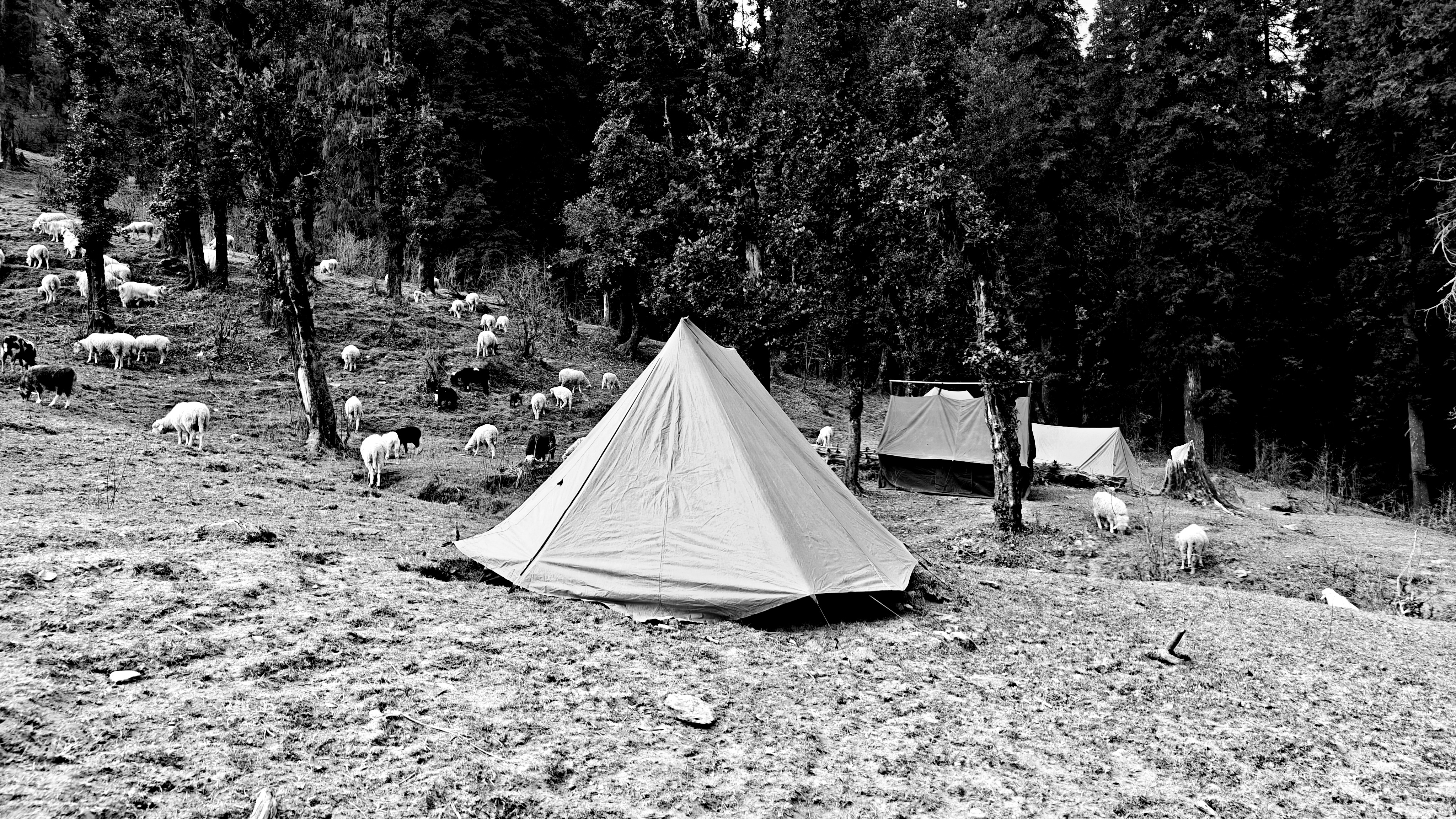 Monomad: Where Colors Refused to Fade