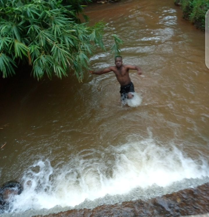 My Swimming Experience