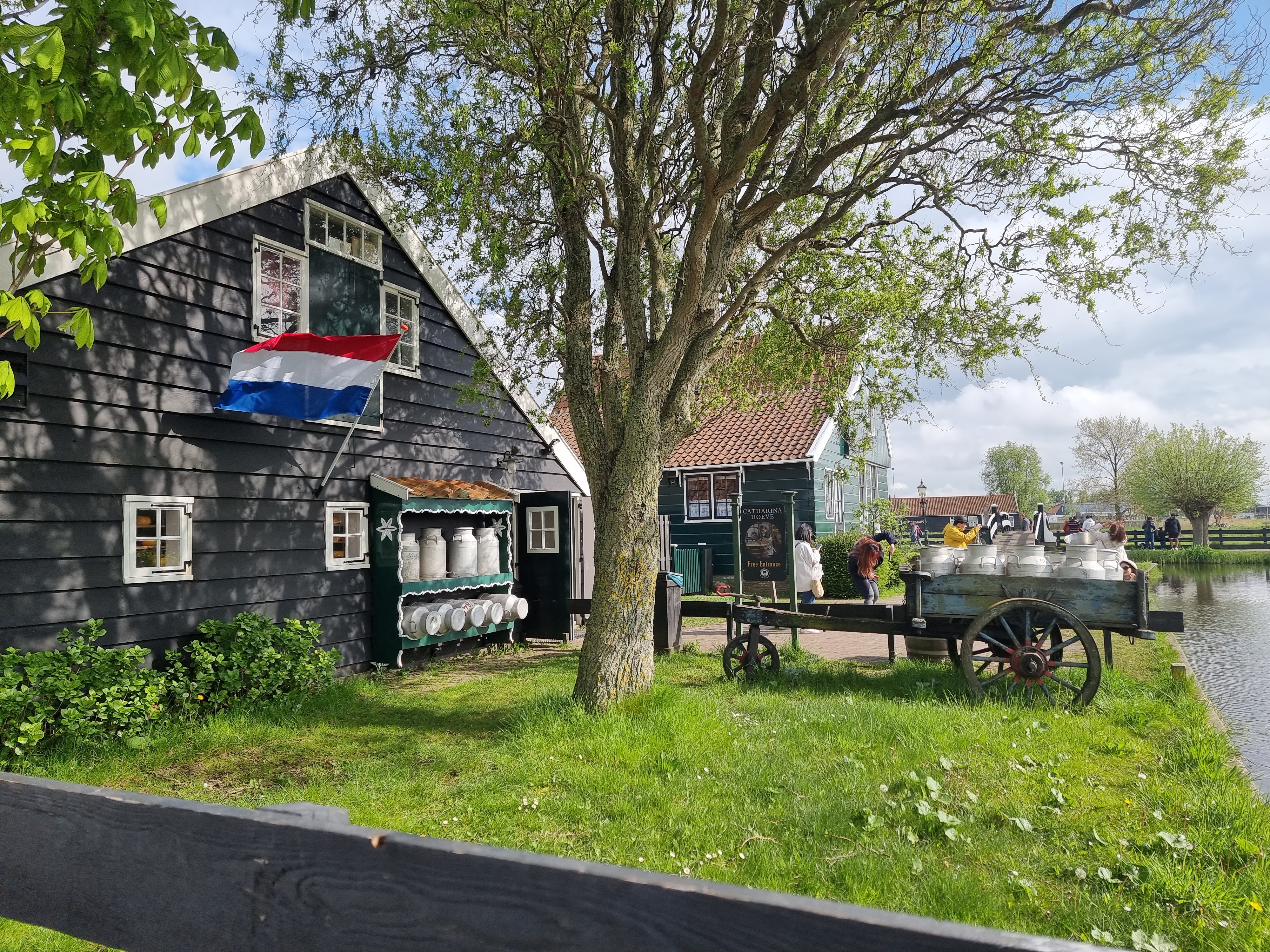 Frisian Farms Cheese House