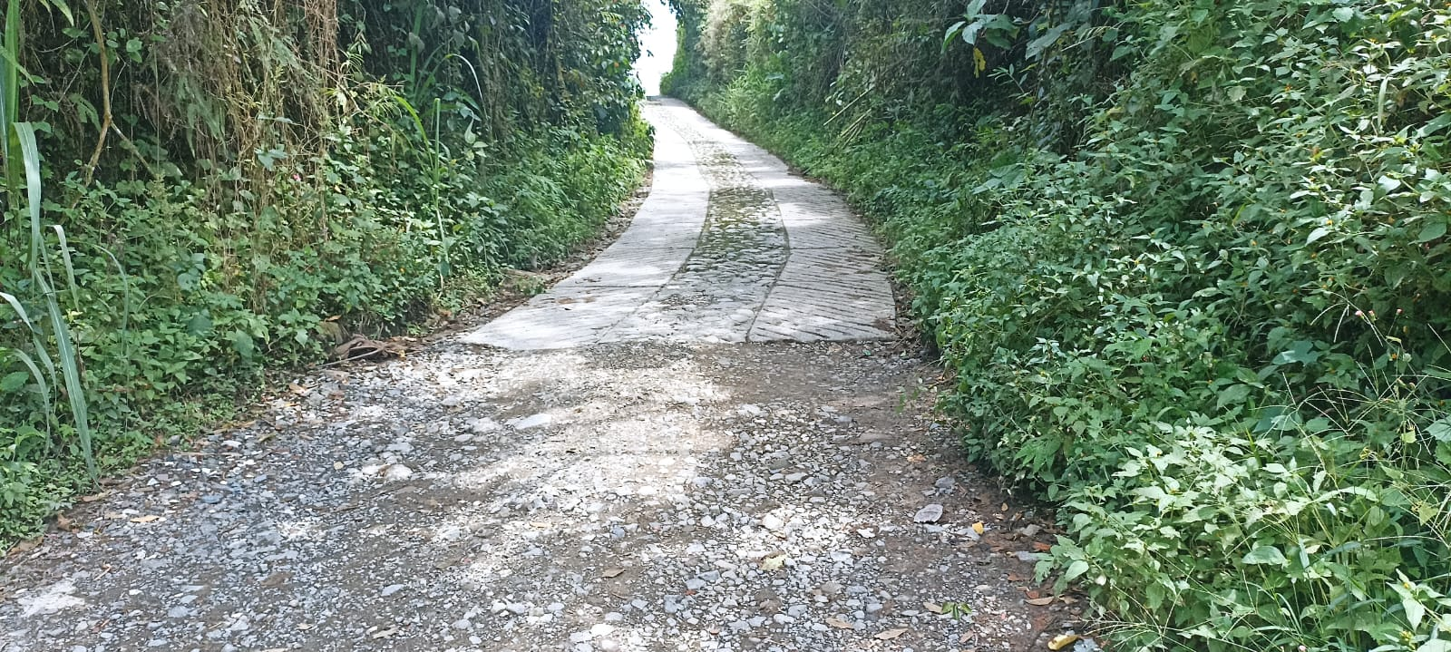 Riding through the Countryside. Phone Photography Contest - #102 (ESP/ENG)