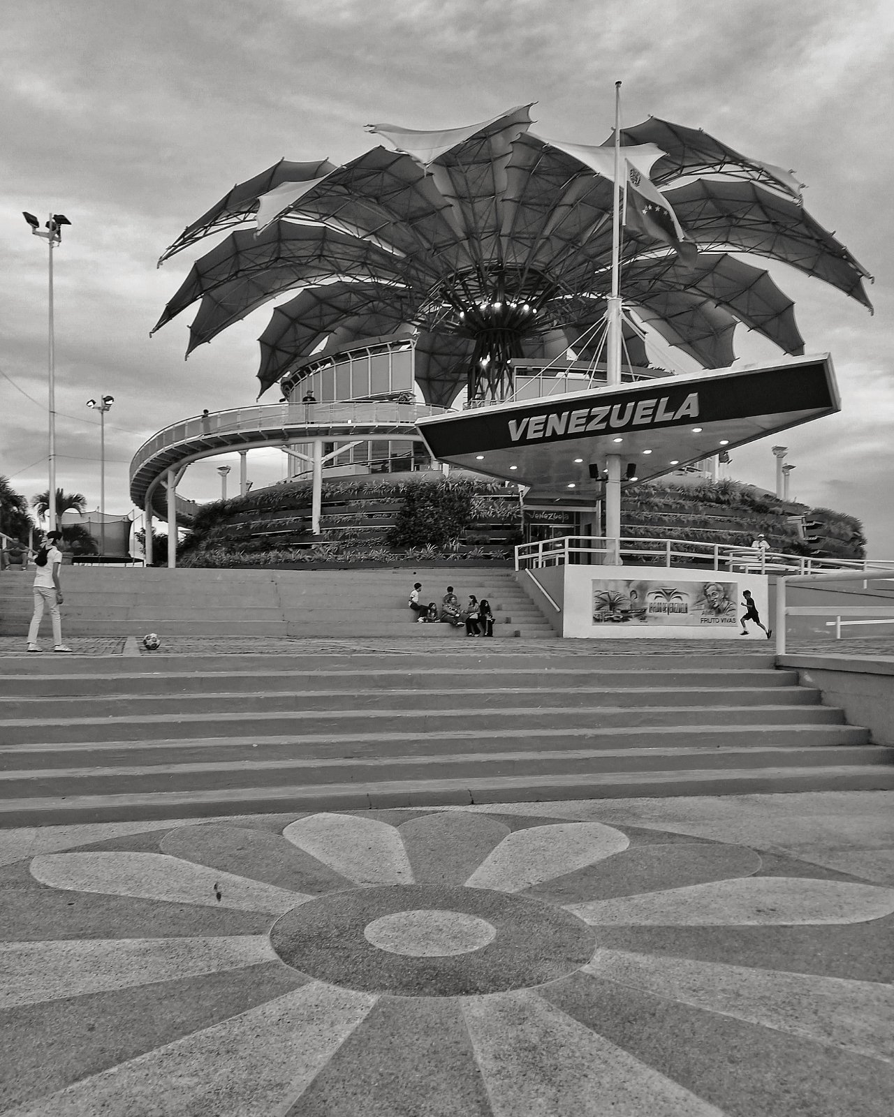 PhotoFeed Contest - Black & White Photography Round 160: The Flower [ENG/ESP]    