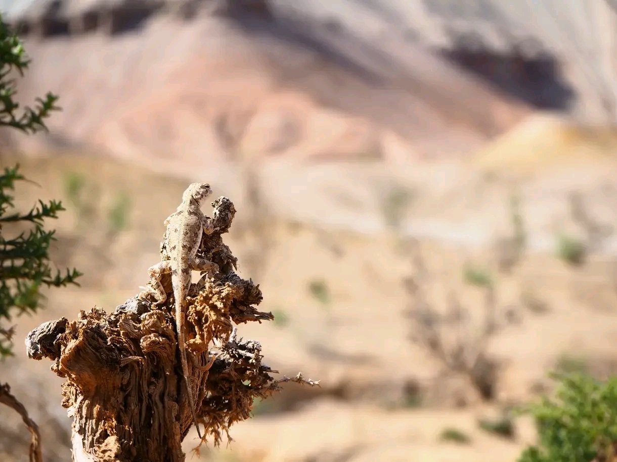 Aktau Mountains - Kazakhstan 